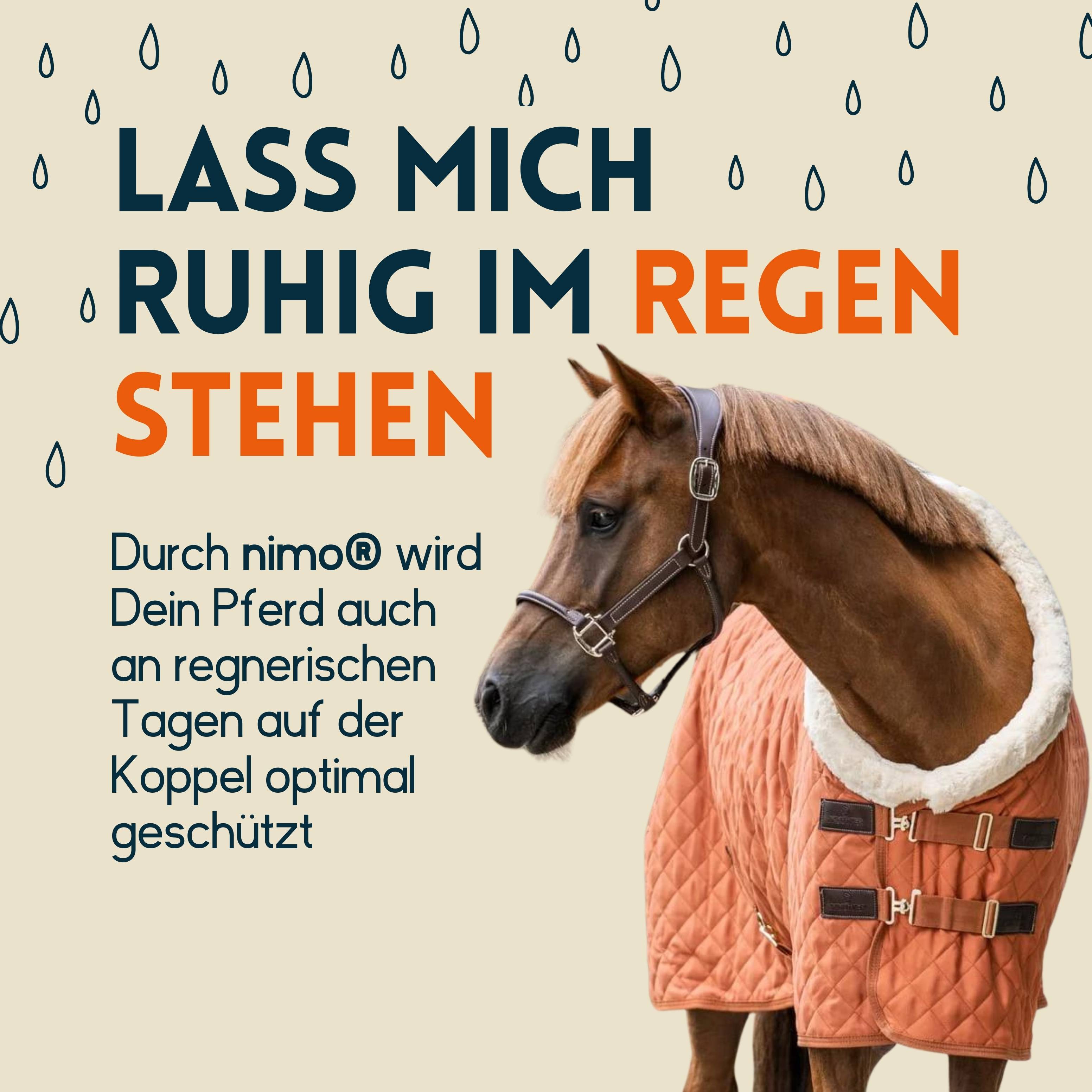 nimo Wash-In Imprägnierung - Versiegelung zum Schutz gegen Nässe & Schmutz