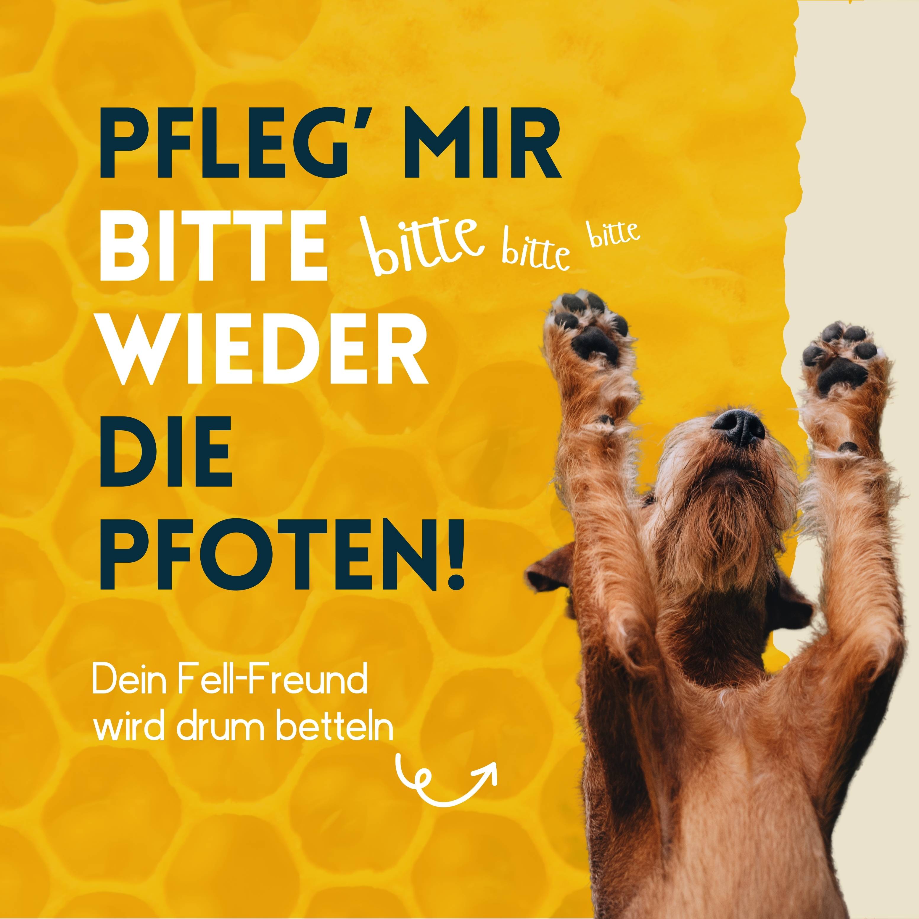 nimo Pfoten Pflegestift - Pfotenbalsam mit Bienenwachs & Propolis zum Schutz & zur Pflege von Pfoten