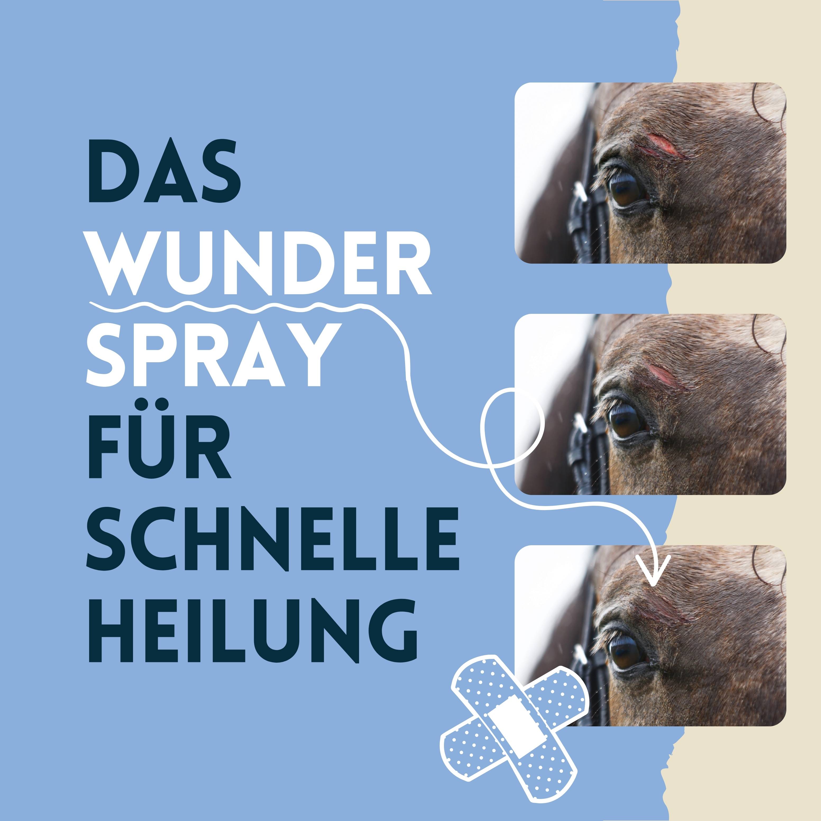 nimo Pferde Wundspray - mit Aloe Vera & Panthenol zur Wundpflege & -heilung