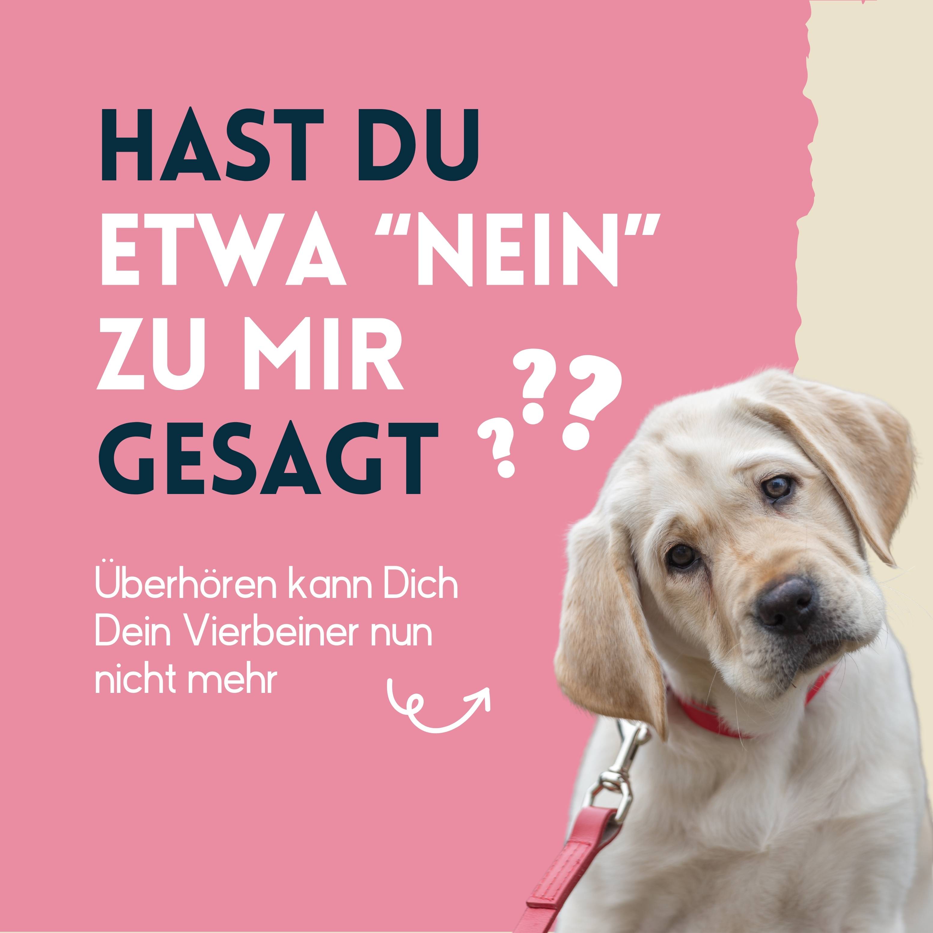 nimo Ohrenreiniger - für Hunde, Katzen & Haustiere mit Aloe Vera & Panthenol