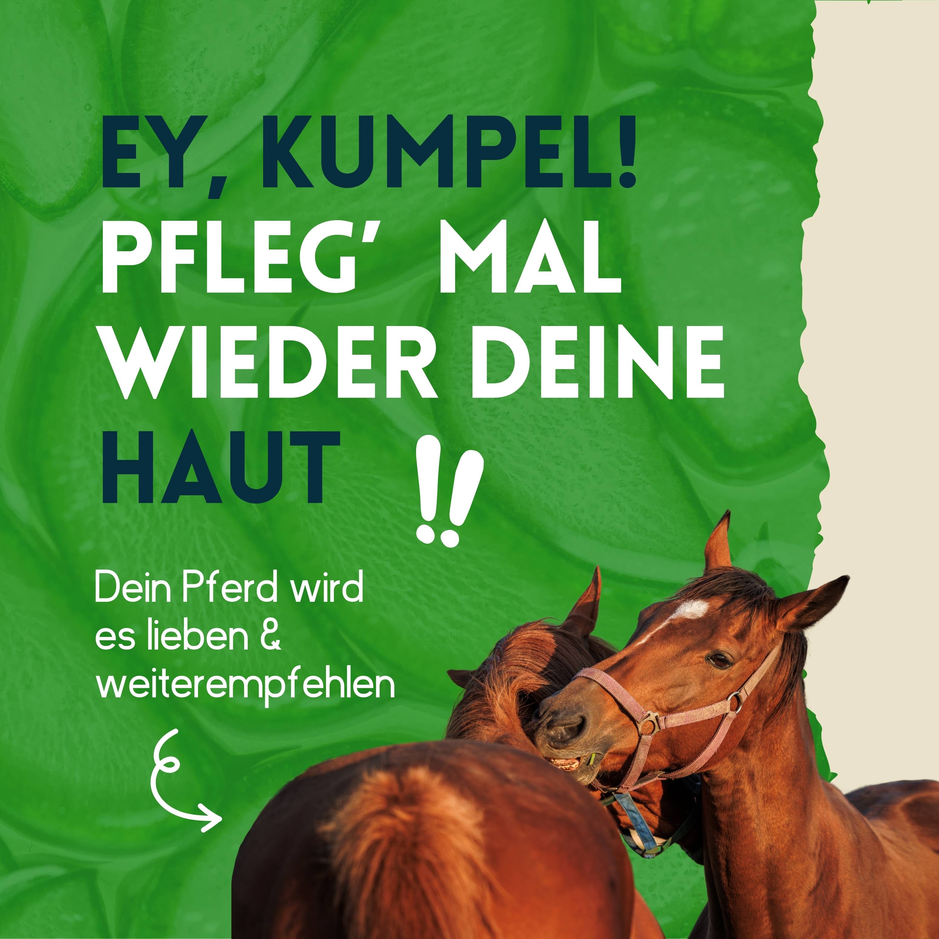 nimo Pferde Hautpflegespray - mit Aloe Vera & Panthenol gegen Juckreiz und gereizte Haut