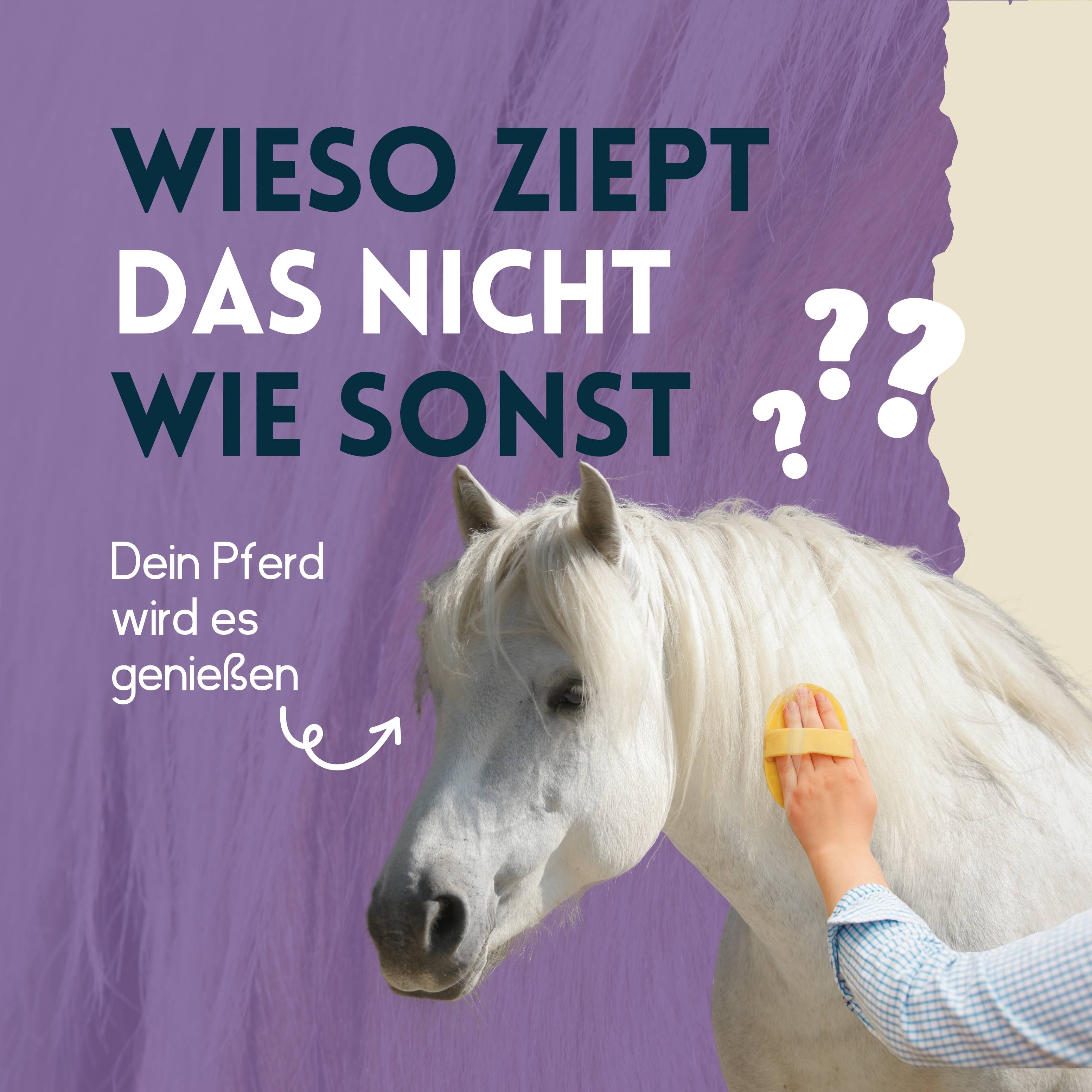 nimo Mähnen Pflegespray - für leichtere Kämmbarkeit, Entwirrung & glänzende Mähne, Schweif
