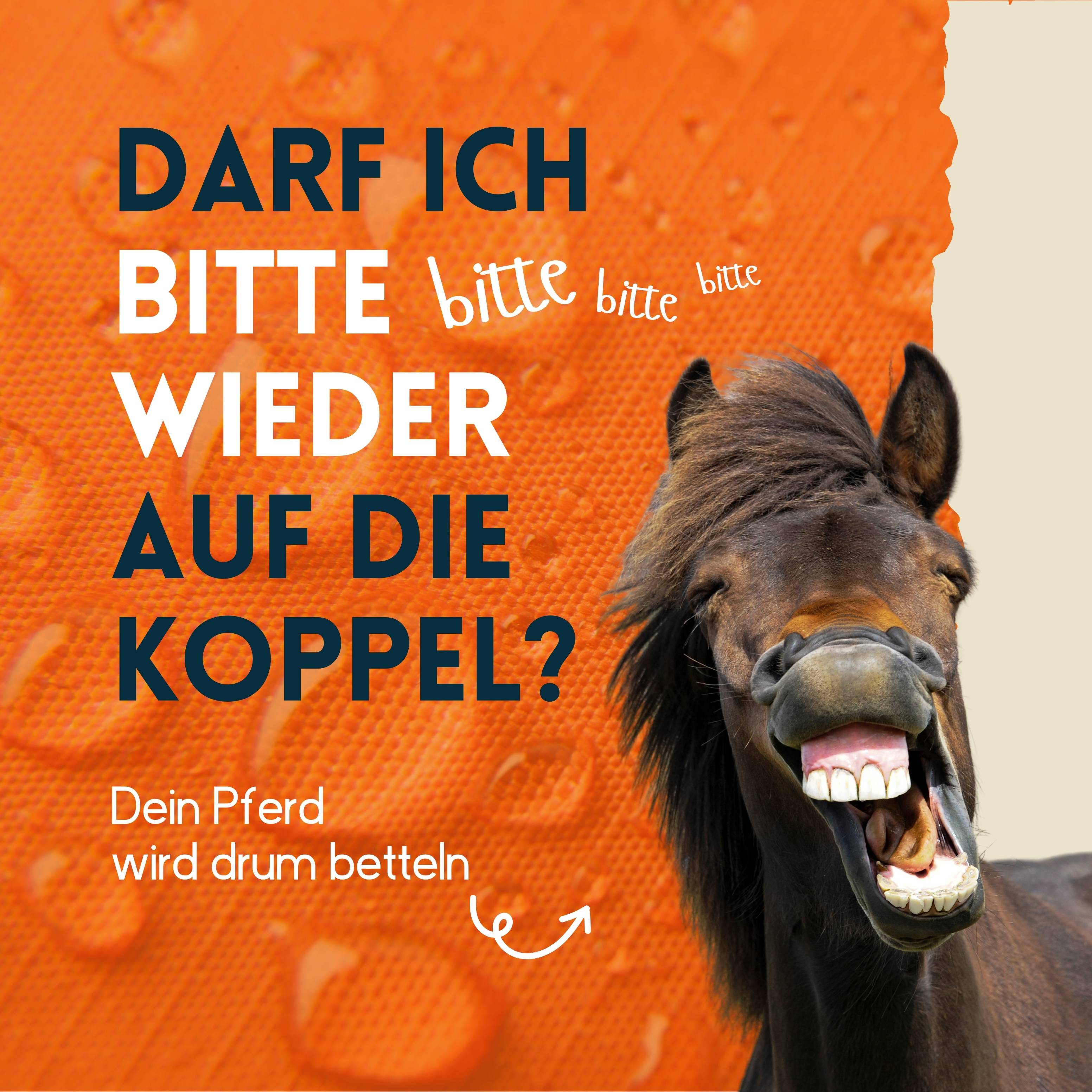nimo Imprägnierspray für Pferdedecken - Versiegelung zum Schutz gegen Nässe & Schmutz