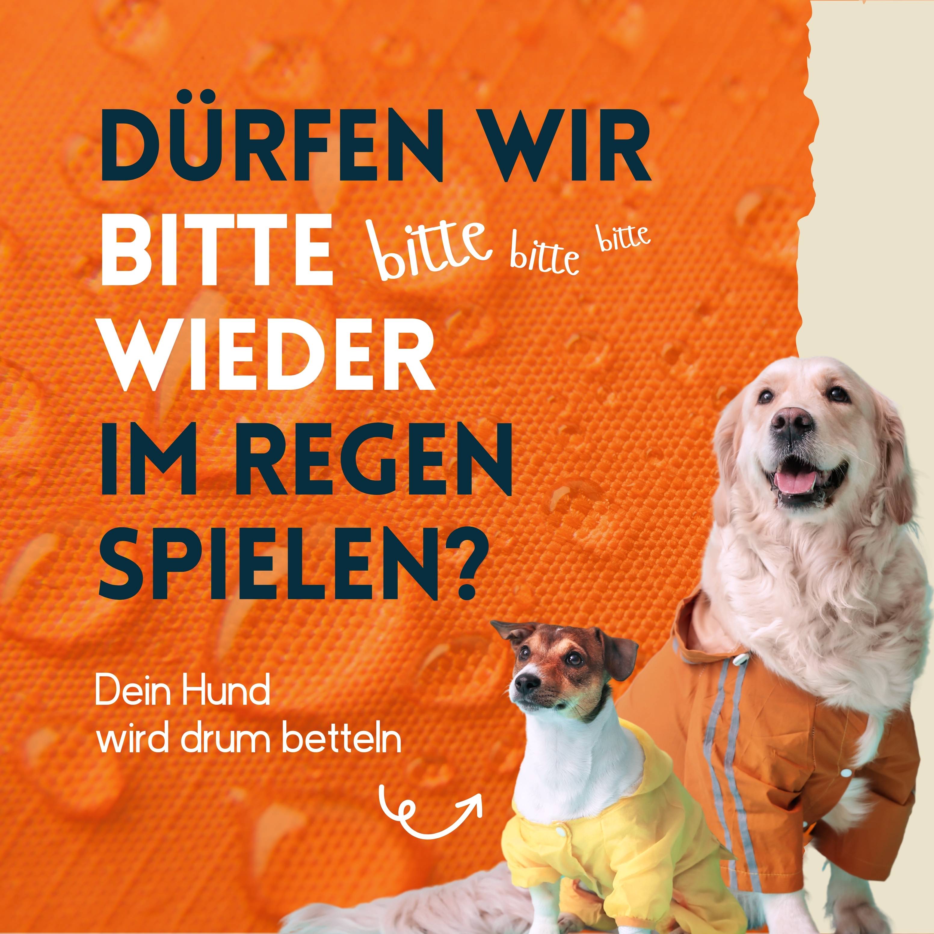 nimo Imprägnierspray für Hundebekleidung - Versiegelung zum Schutz gegen Nässe & Schmutz