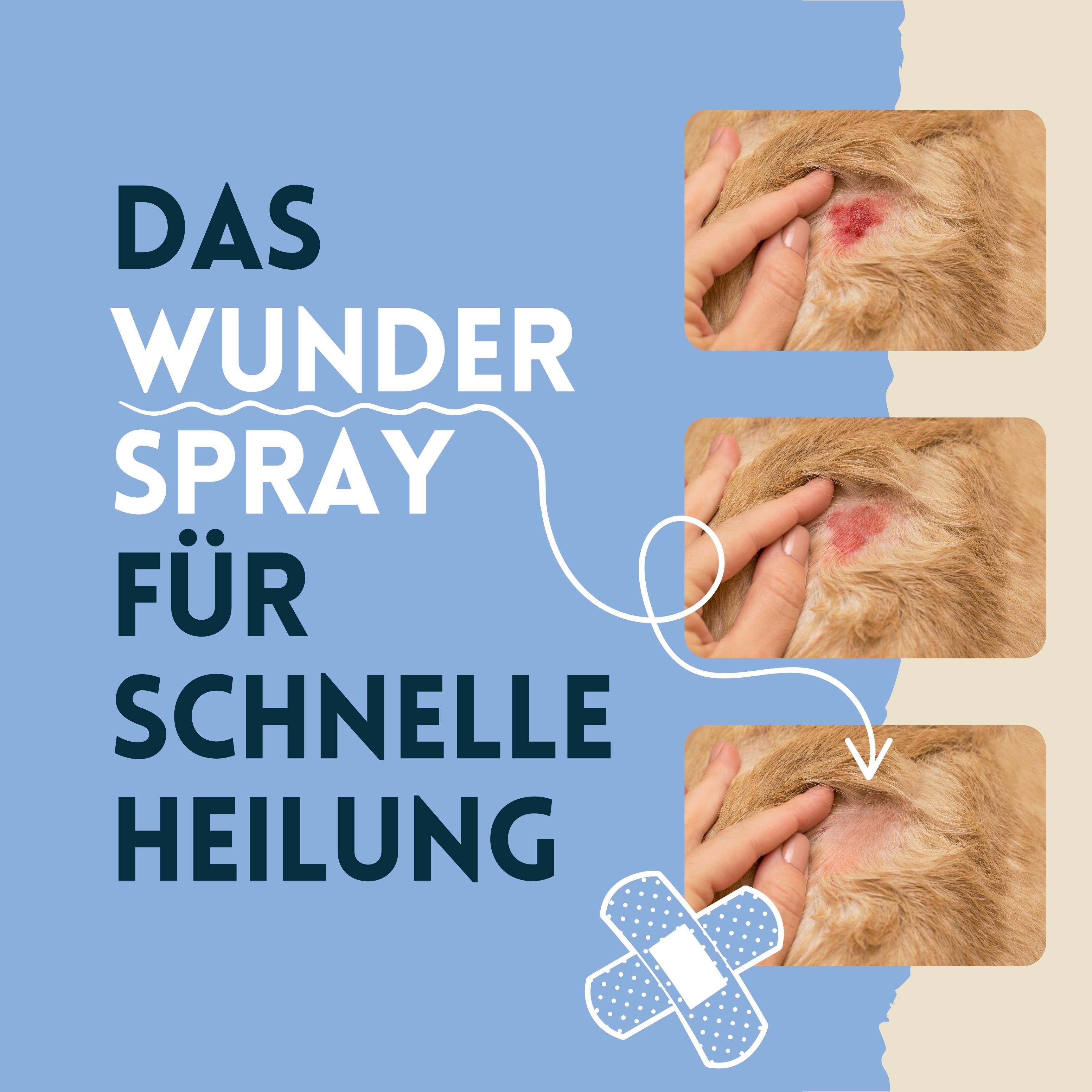 nimo Haustier Wundspray - mit Aloe Vera & Panthenol zur Wundpflege & -heilung