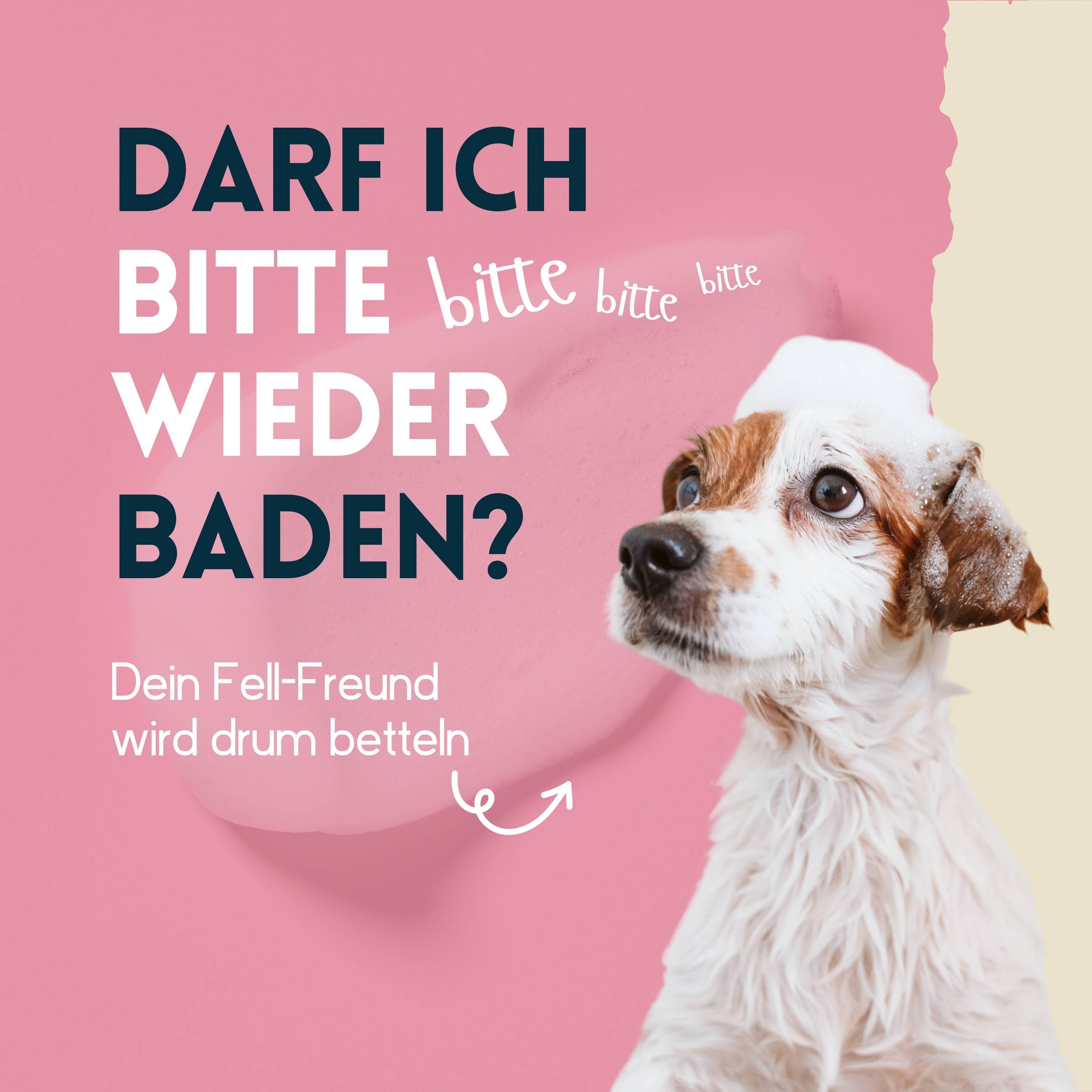 nimo Hunde Shampoo sensitiv - ohne Duftstoffe & pH-Neutral für alle Rassen