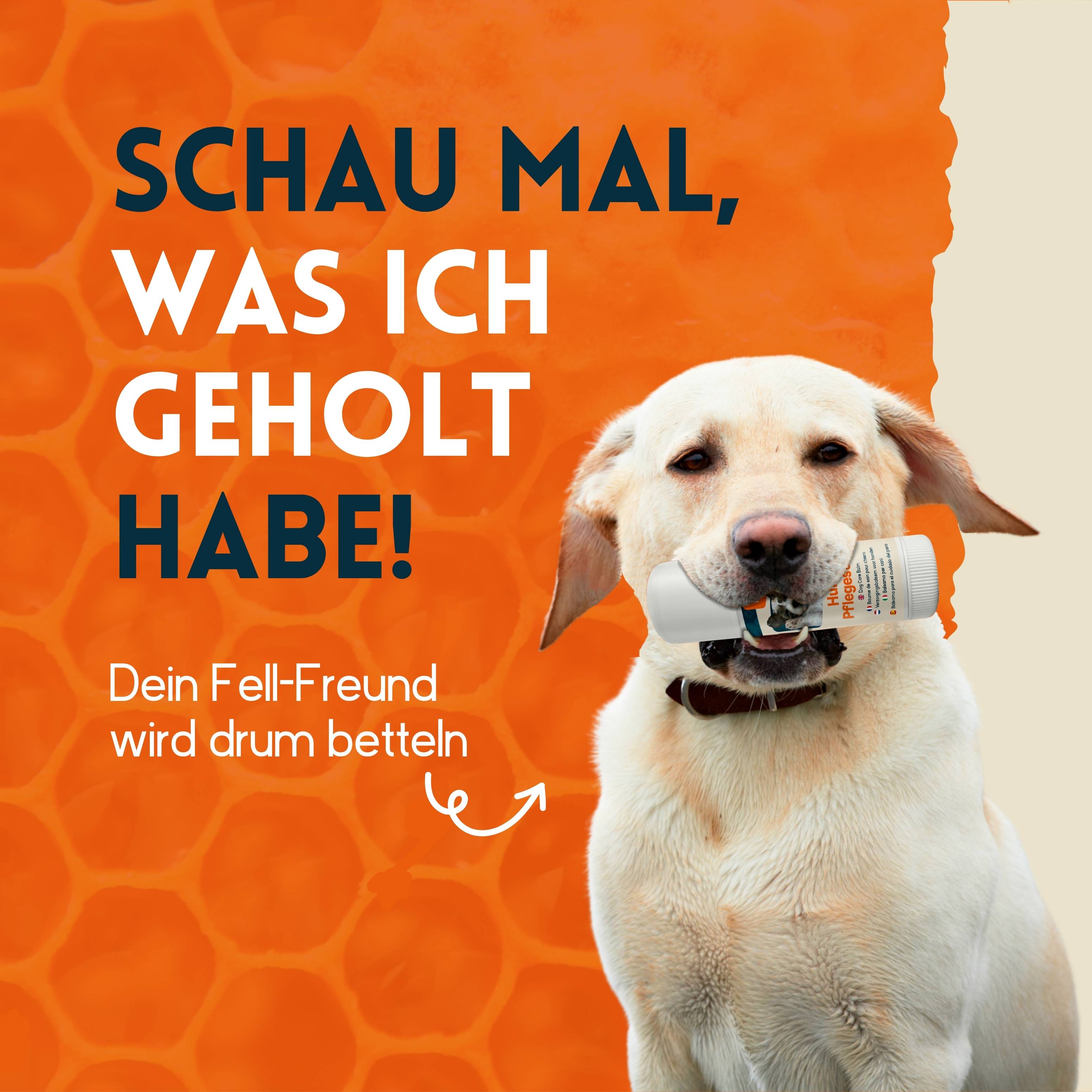 nimo Hunde Pflegestift - mit Bienenwachs & Propolis gegen gereizte und trockene Stellen