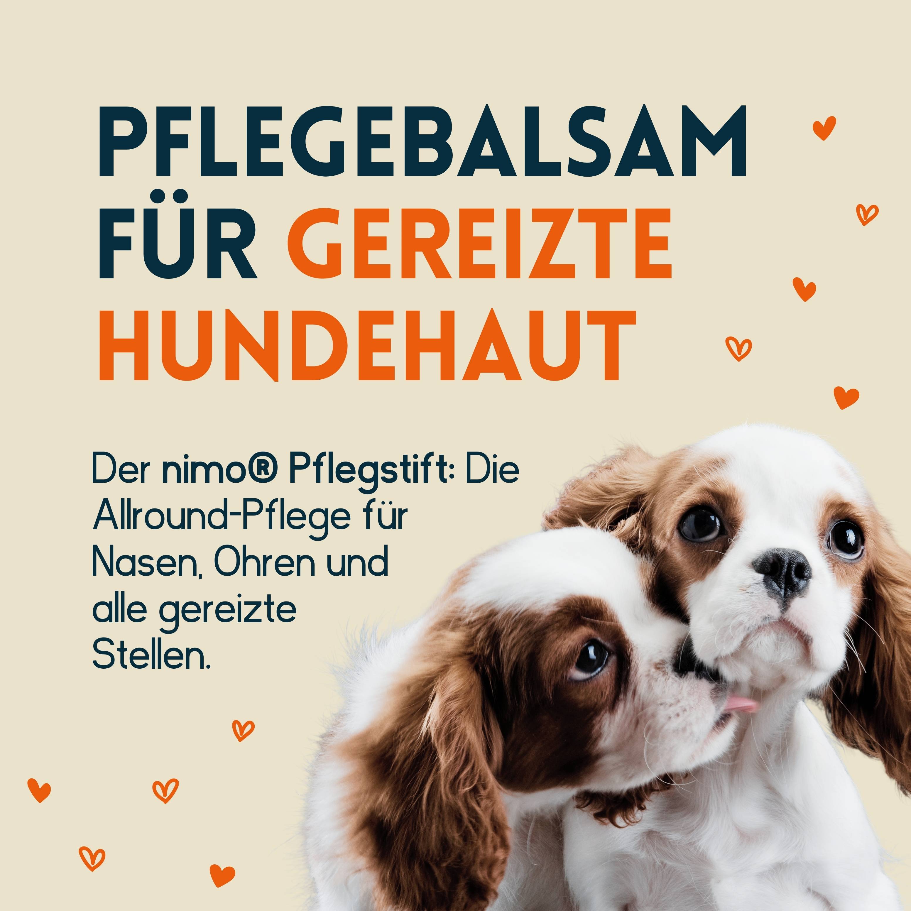 nimo Hunde Pflegestift - mit Bienenwachs & Propolis gegen gereizte und trockene Stellen