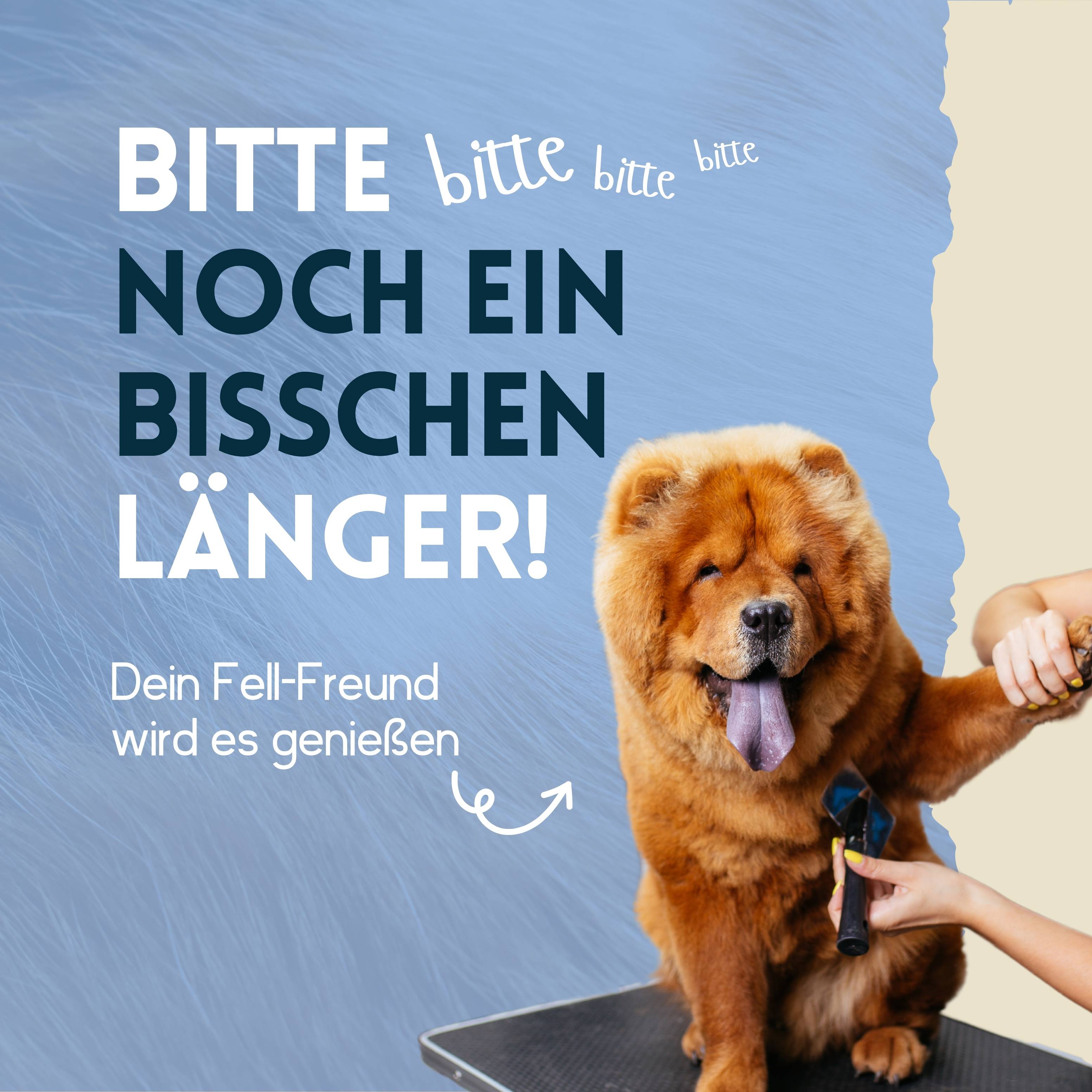 nimo Fell Pflegespray Kokos für Hunde & Katzen - verleiht dem Fell Glanz und pflegt es
