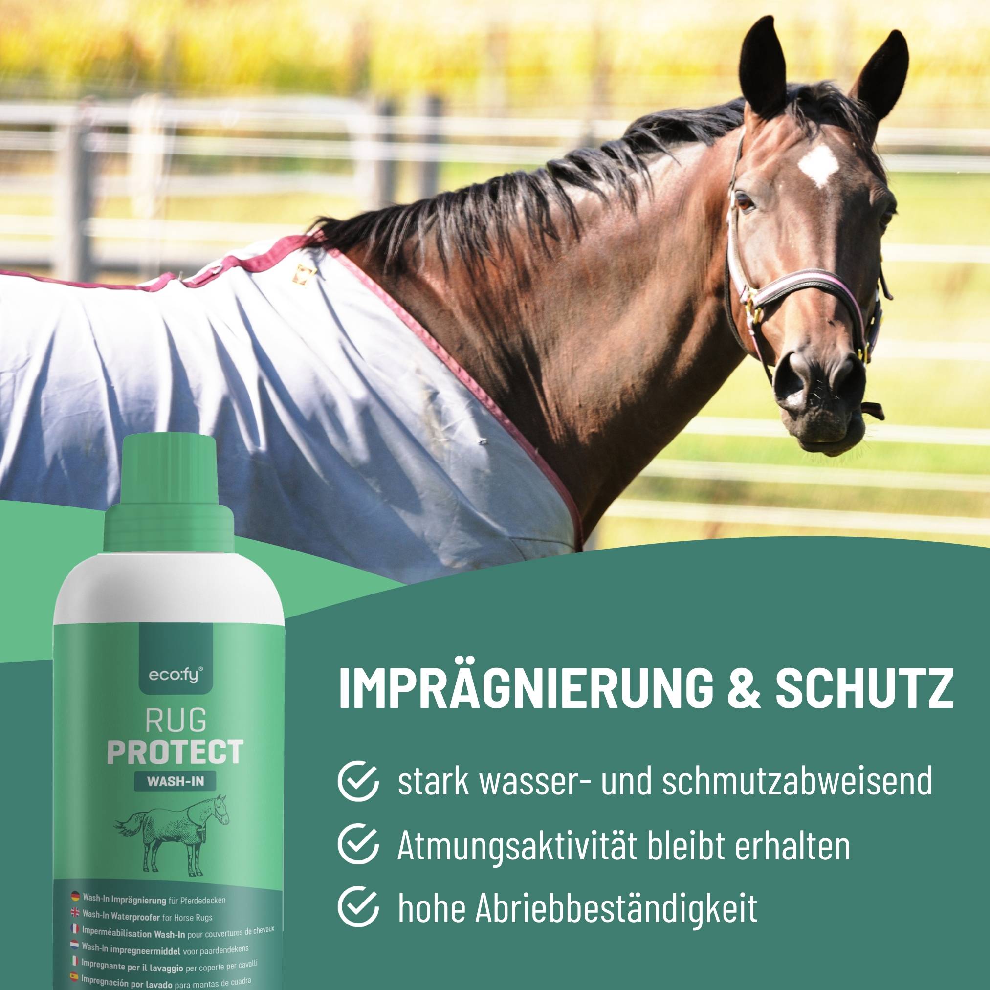 eco:fy Pferdedecken Wash-In Imprägnierung - Einwasch Imprägniermittel, Imprägnierer