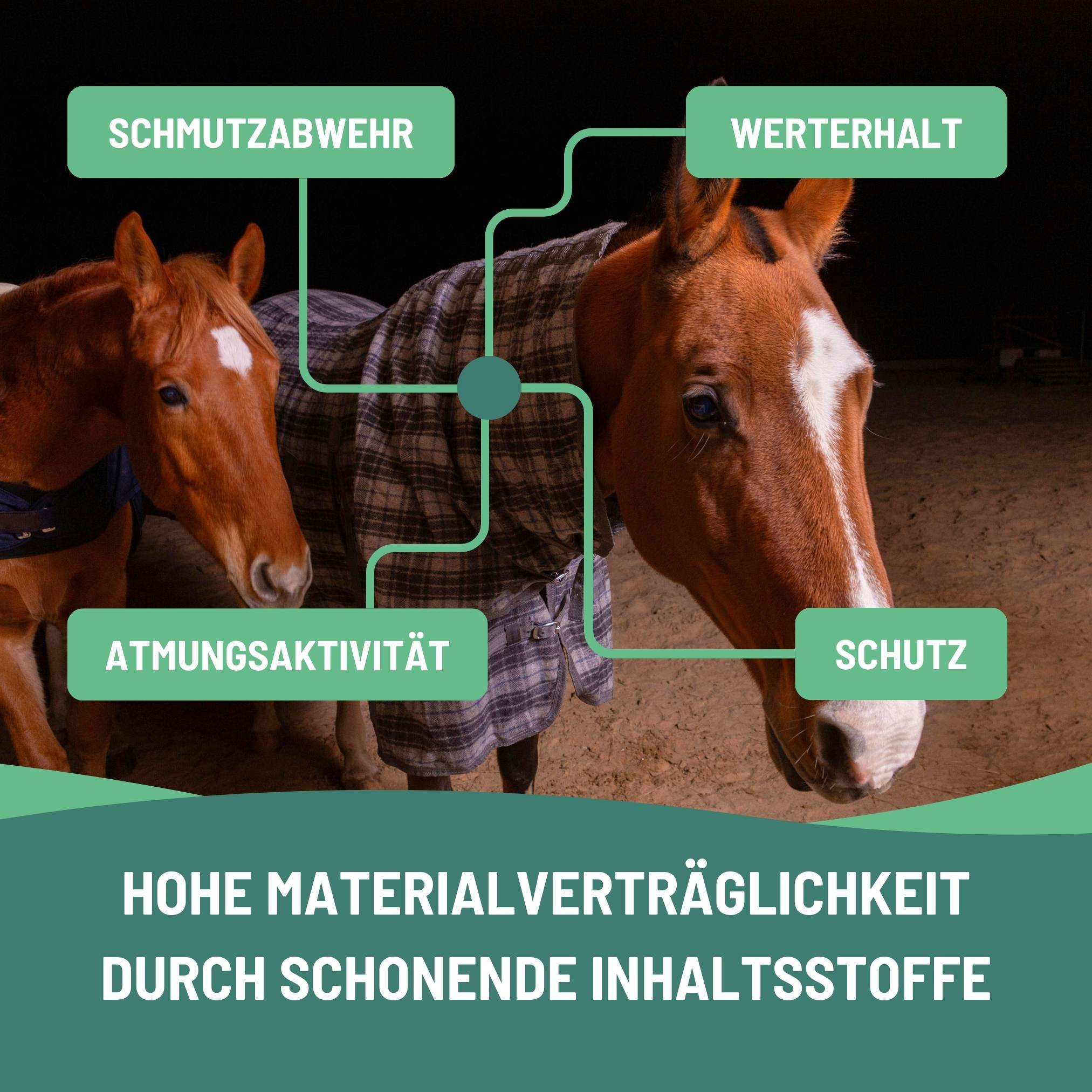 eco:fy Pferdedecken Imprägnierspray - Spray-On Imprägnierung, Imprägniermittel