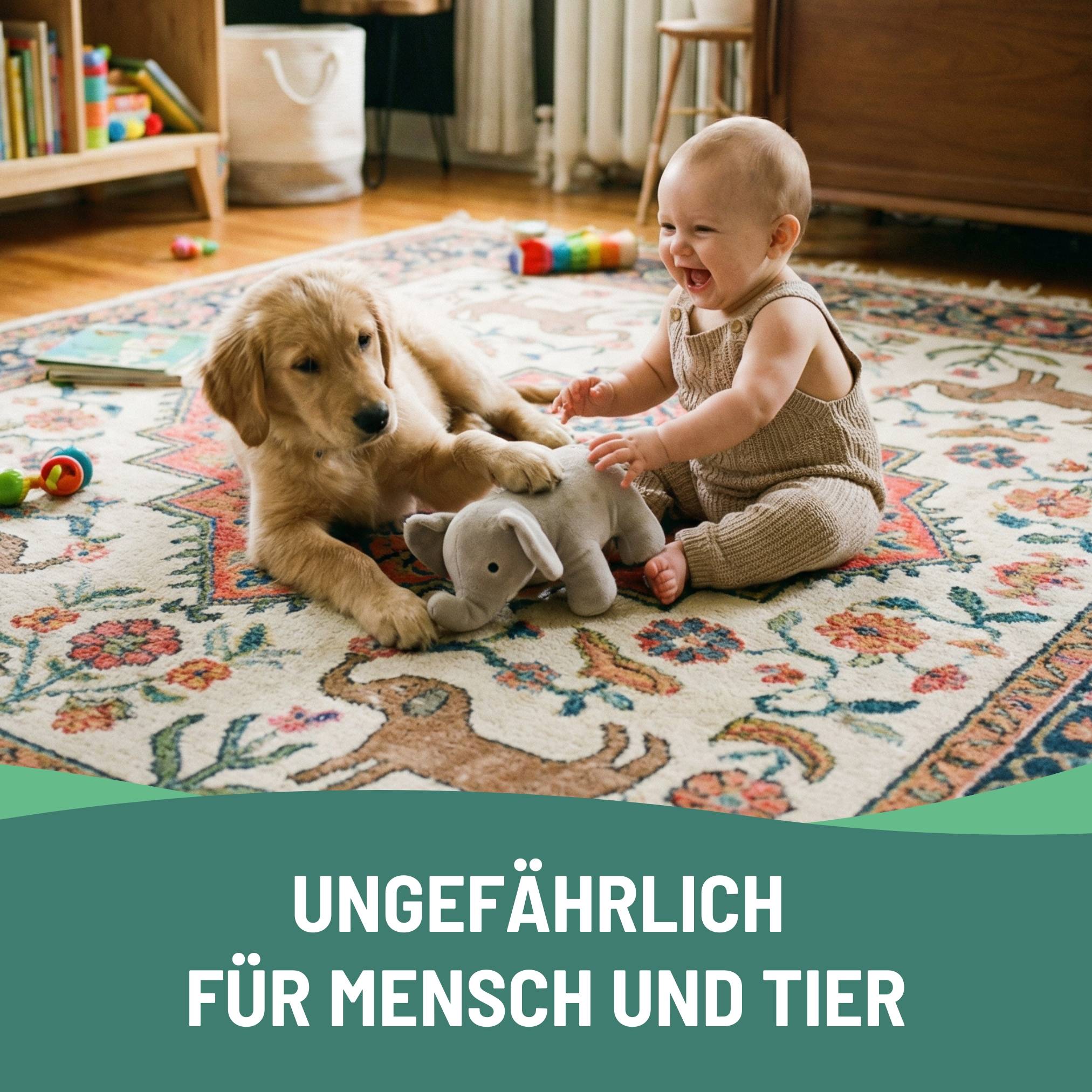 eco:fy Teppich-Imprägnierspray - Schutz vor Nässe & Schmutz