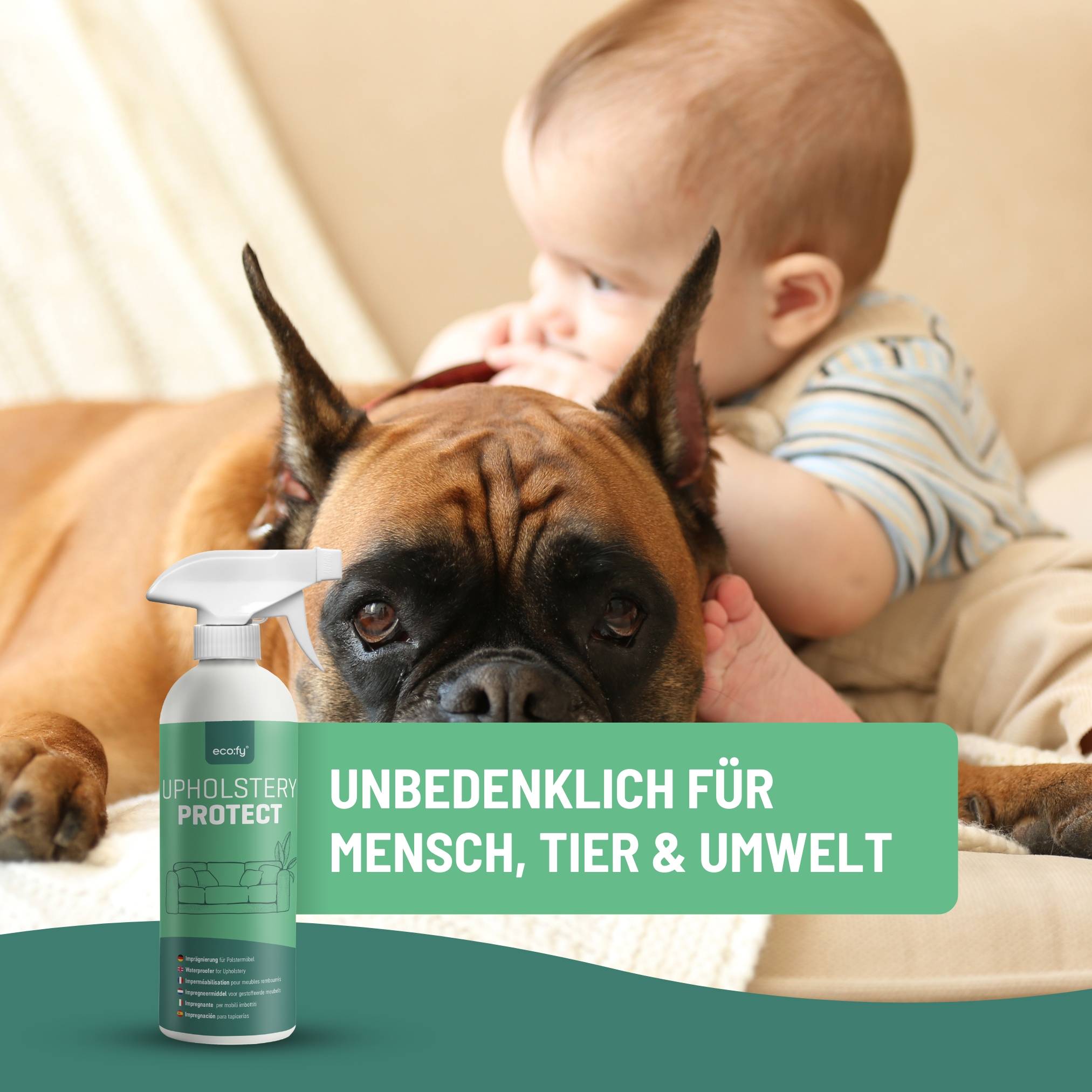 eco:fy Polstermöbel-Imprägnierspray - Möbel-Schutz gegen Flecken und Schmutz