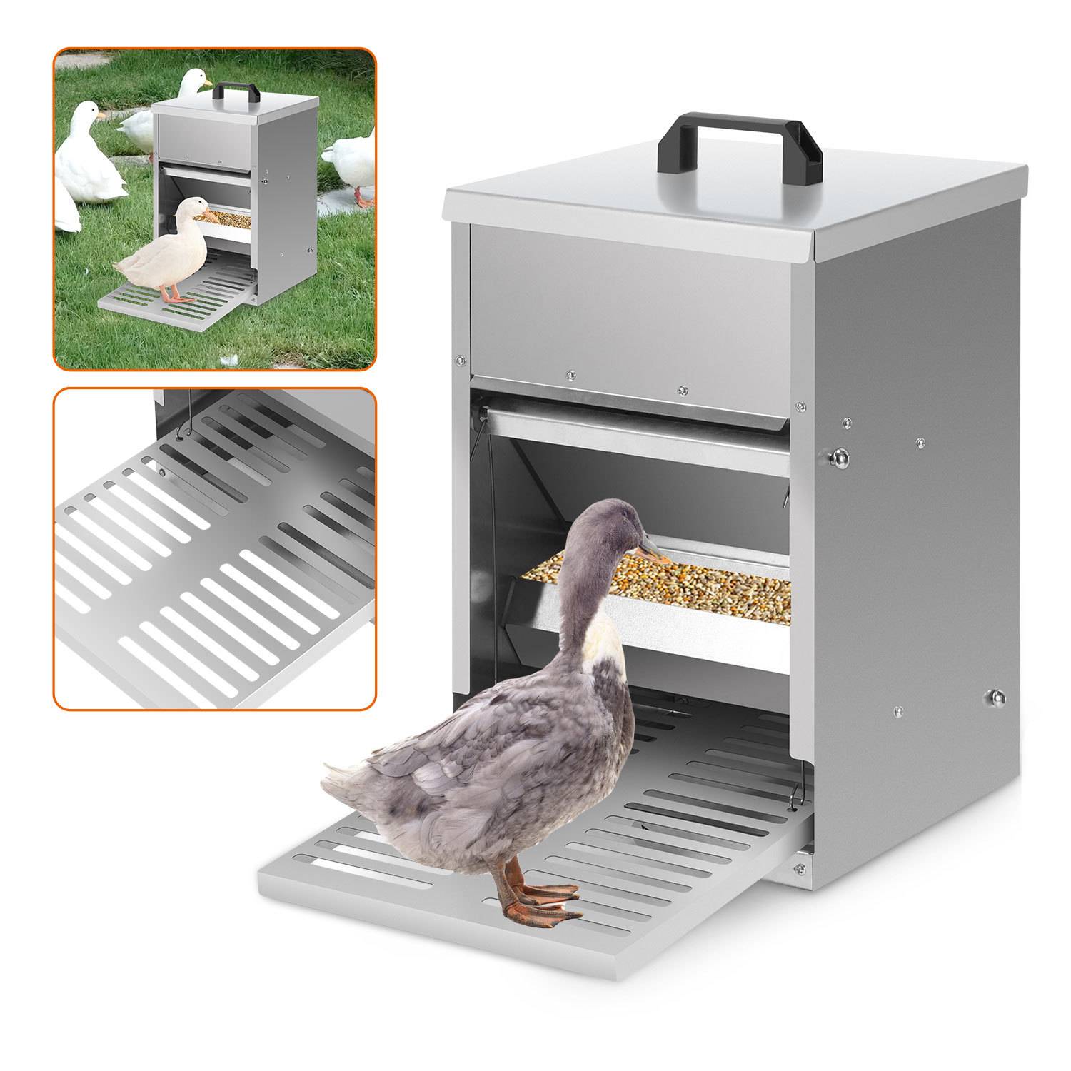 Futterautomat für Hühner 5 kg stehend, Geflügelfutterspender aus verzinktem Stahl mit Trittklappe