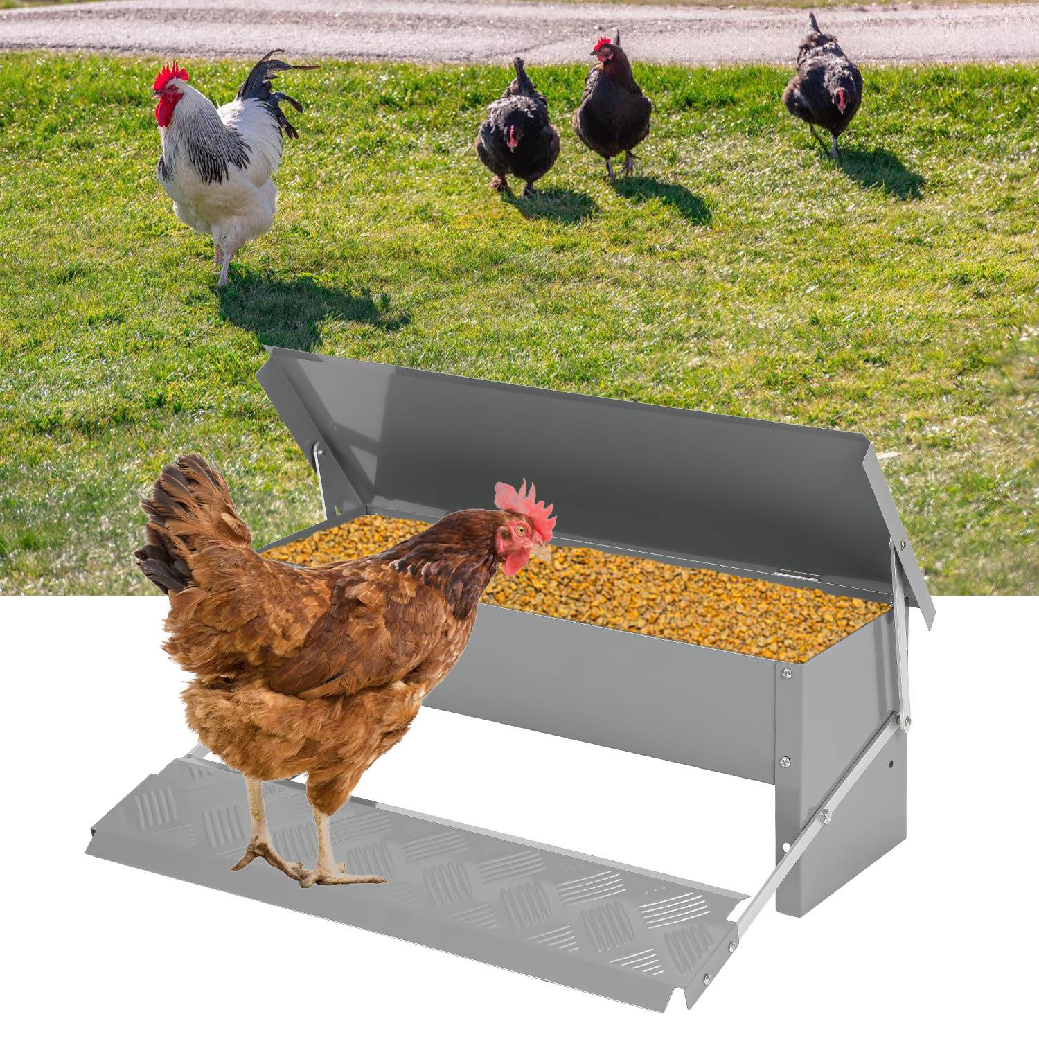 Hühner Futterautomat 5 kg wetterfest, automatischer Geflügel Futterspender mit Trittklappe und Zubehör