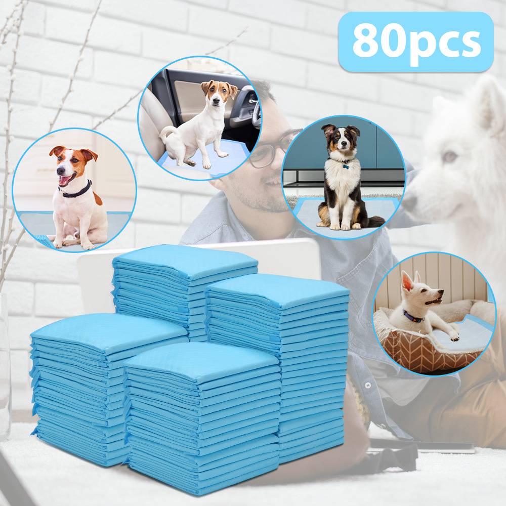 80 Stück Hundeunterlagen 60x60 cm Welpen Pipi Pads Einweg Trainingsunterlagen