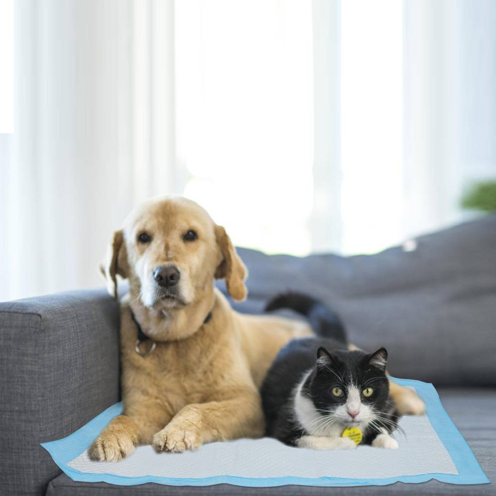120 Stück Welpenunterlagen 60x60 cm Hundetoilette Pads Saugfähige Einweg Matten