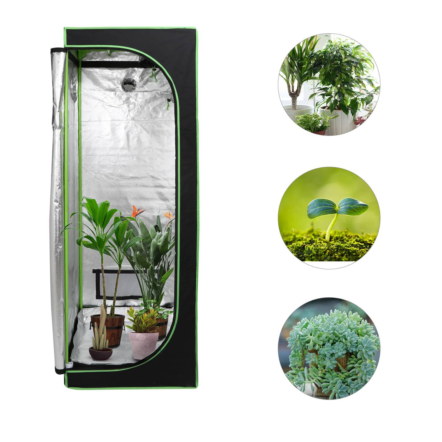 Growbox Indoor Pflanzzelt mit Reißverschluss, Kabelöffnungen und reflektierender Innenfolie 60x60x180cm