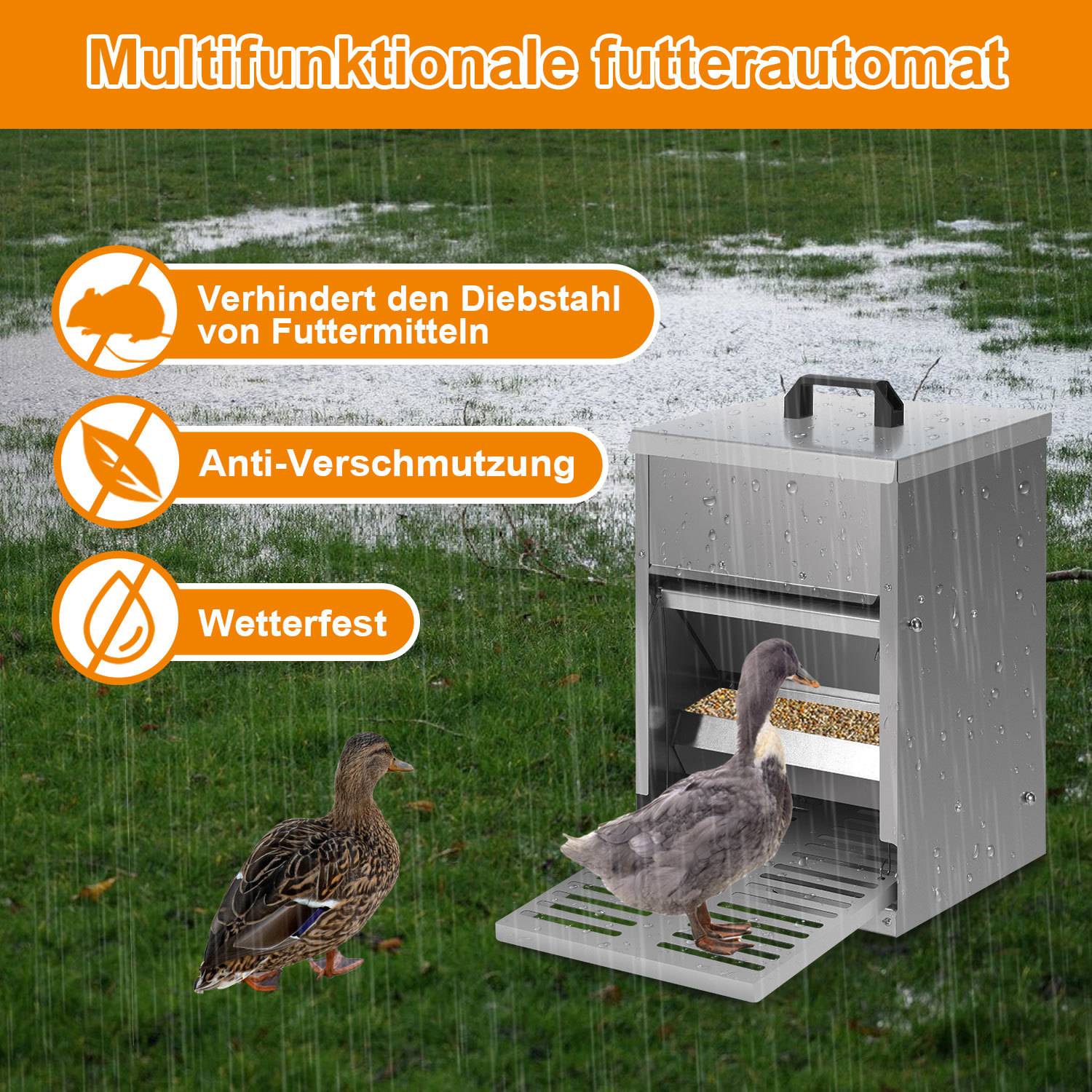 Hühner Futterautomat stehend 5 kg, wetterfester Geflügel Futterspender mit automatischer Pedalöffnung