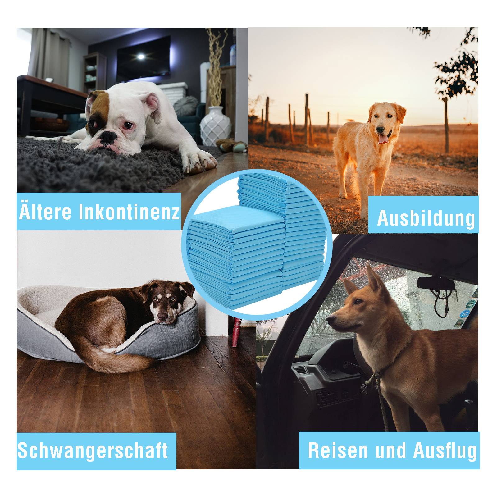 80 Stück Hundeunterlagen 60x60 cm Welpen Pipi Pads Einweg Trainingsunterlagen