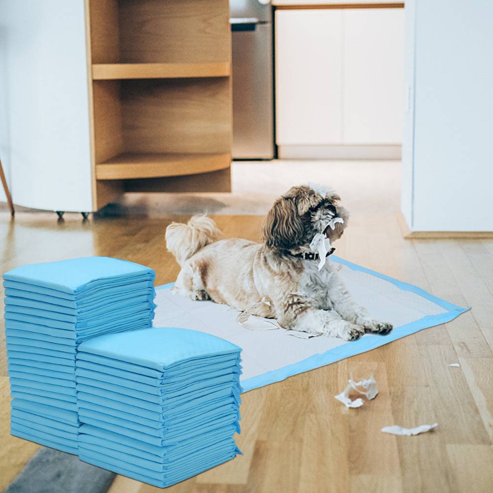 200 Stück Welpenunterlagen 45x60 cm Hundetoilette Pads Einweg Hunde Trainingsmatten