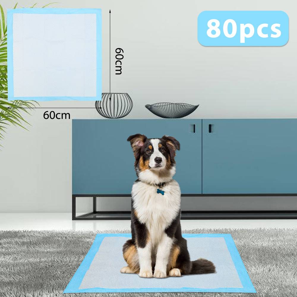 80 Stück Hundeunterlagen 60x60 cm Welpen Pipi Pads Einweg Trainingsunterlagen