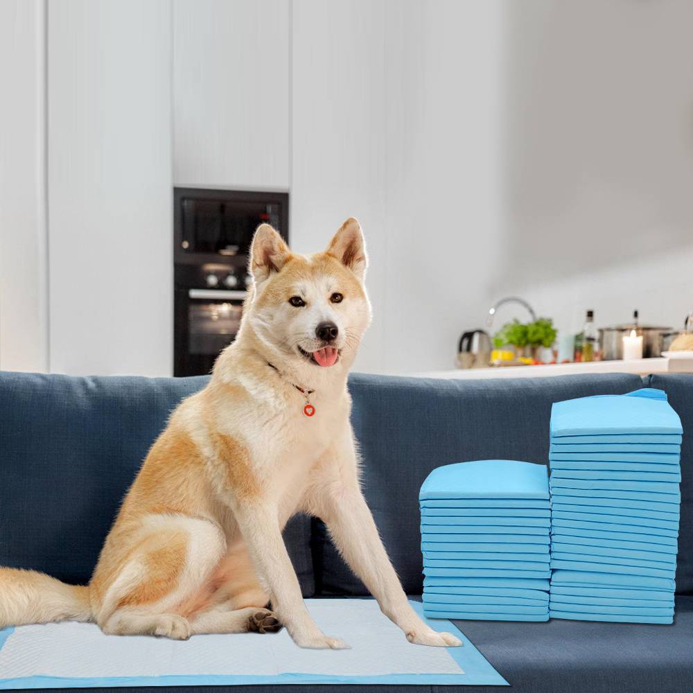 120 Stück Welpenunterlagen 60x60 cm Hundetoilette Pads Saugfähige Einweg Matten