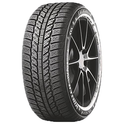 EVERGREEN Winterreifen 215/65R16 98H TL EW 62