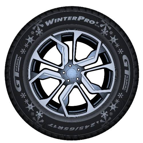 GT-RADIAL Winterreifen 215/70 R16 TL 100H WINTERPRO2 BSW M+S 3PMSF