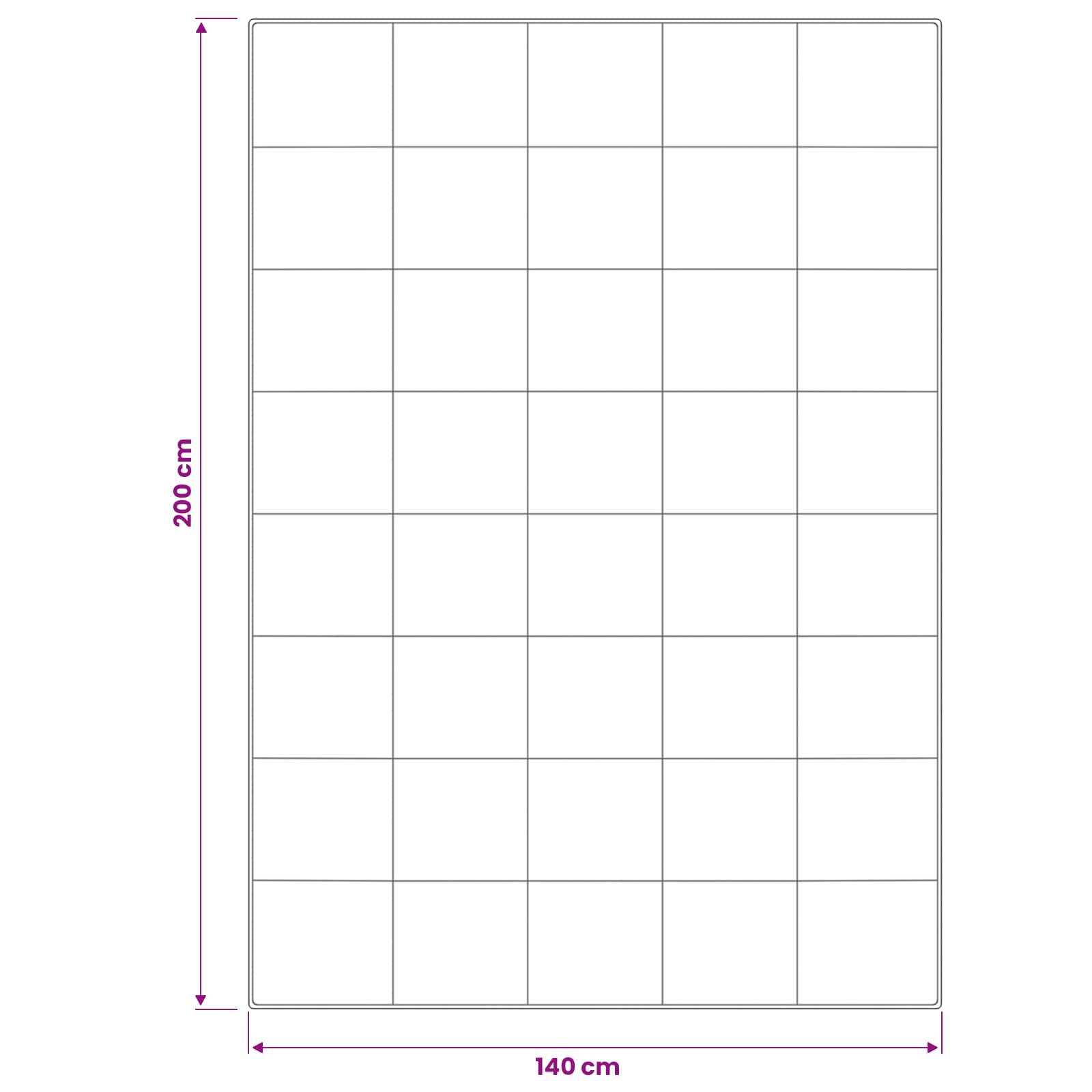 vidaXL Bettdecke und Kissen Set 2 pcs 140x200 cm Winter 450 GSM Wolle