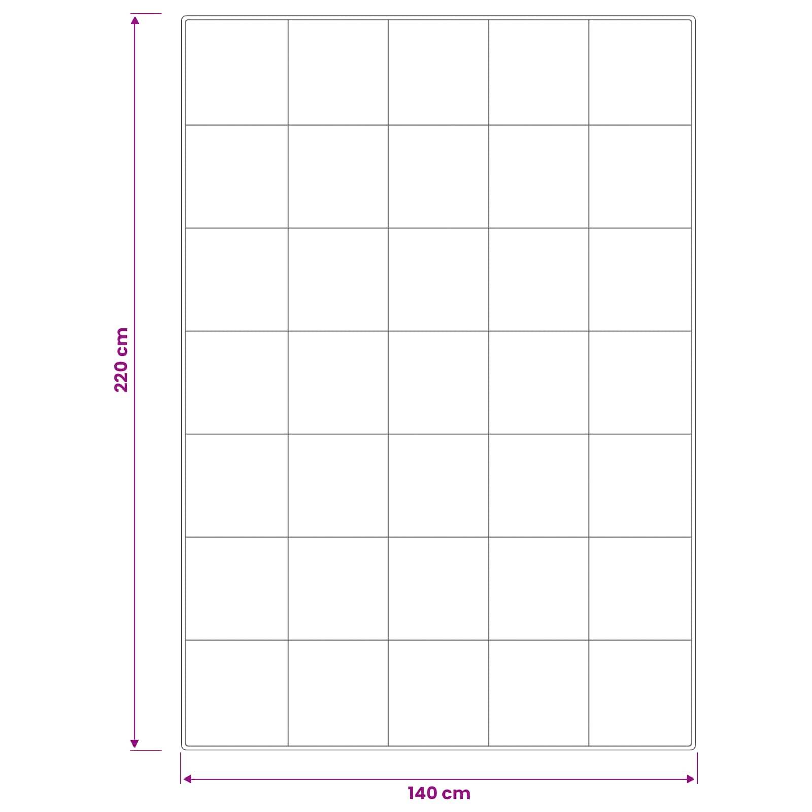 vidaXL Bettdecke FULDA 140 x 220 cm Sommer 100 GSM 90% Gänsedaunen