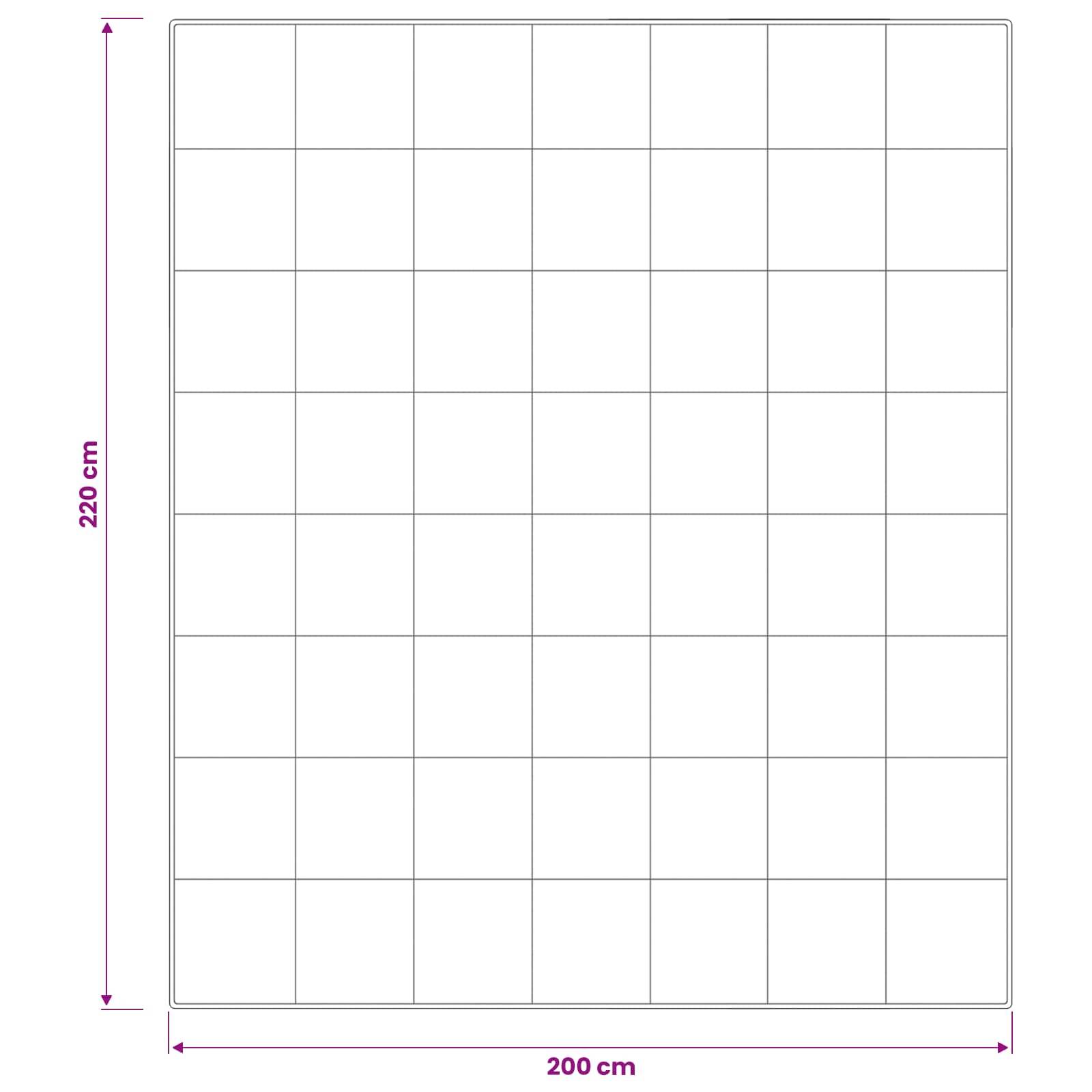 vidaXL Gänsedaunen-Bettdecken-Set 90% FULDA 3 pcs 200 x 220 cm Winter