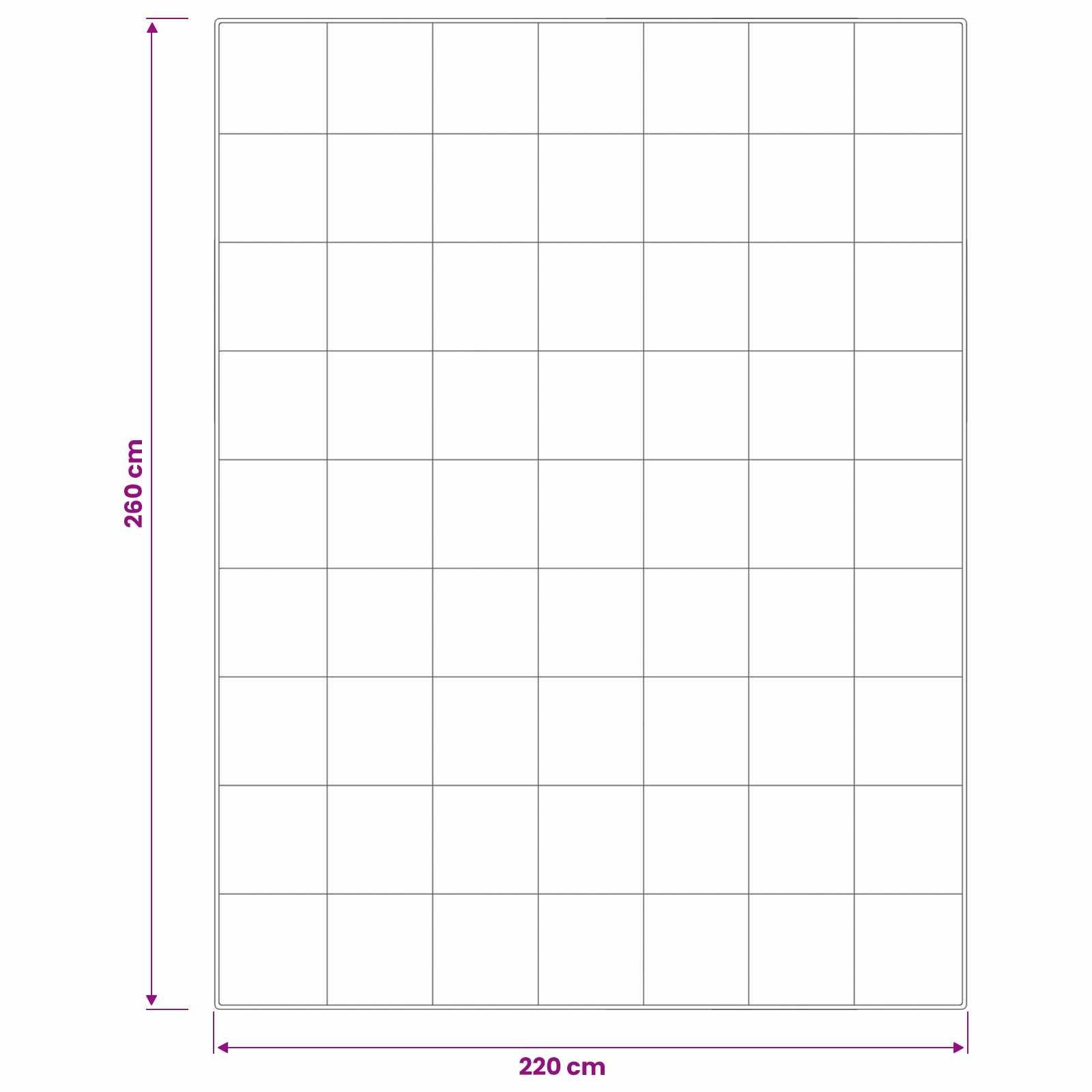 vidaXL Bettdecke FULDA 220 x 260 cm Winter 300 GSM 90% Gänsedaunen