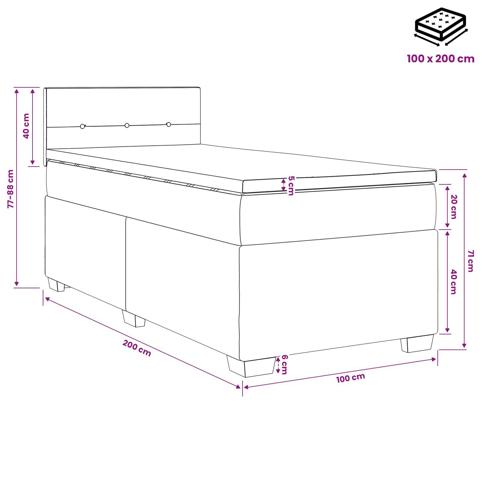vidaXL Boxspringbett mit Matratze und LED Schwarz 100 x 200 cm Samt