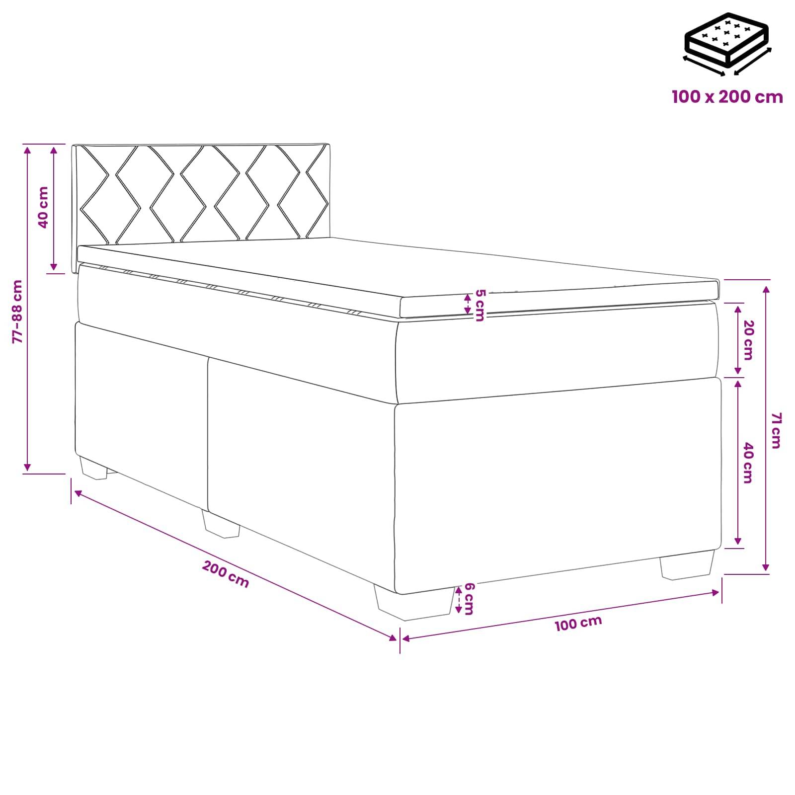 vidaXL Boxspringbett mit Matratze Schwarz 100 x 200 cm Samt