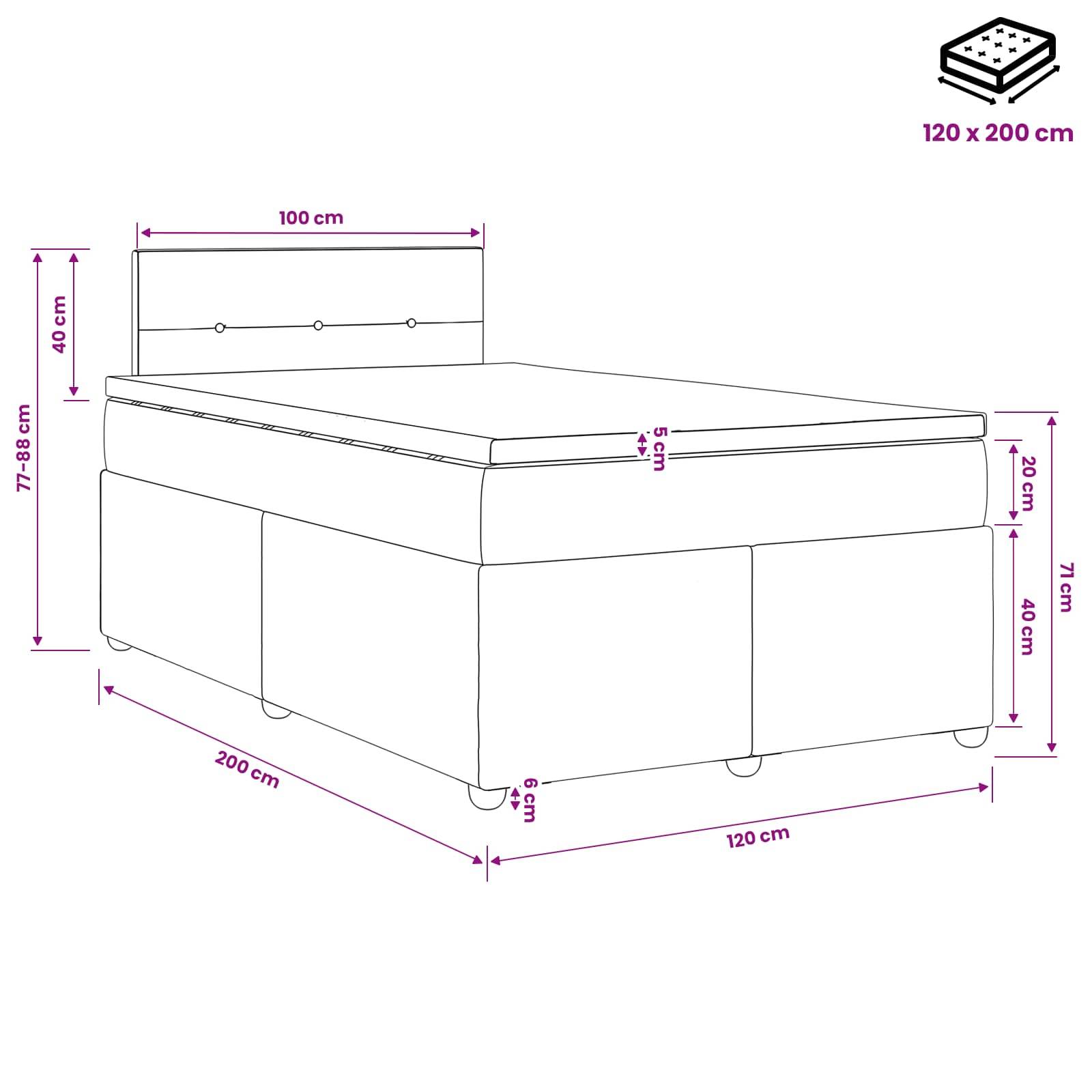vidaXL Boxspringbett mit Matratze Hellgrau 120 x 200 cm Samt