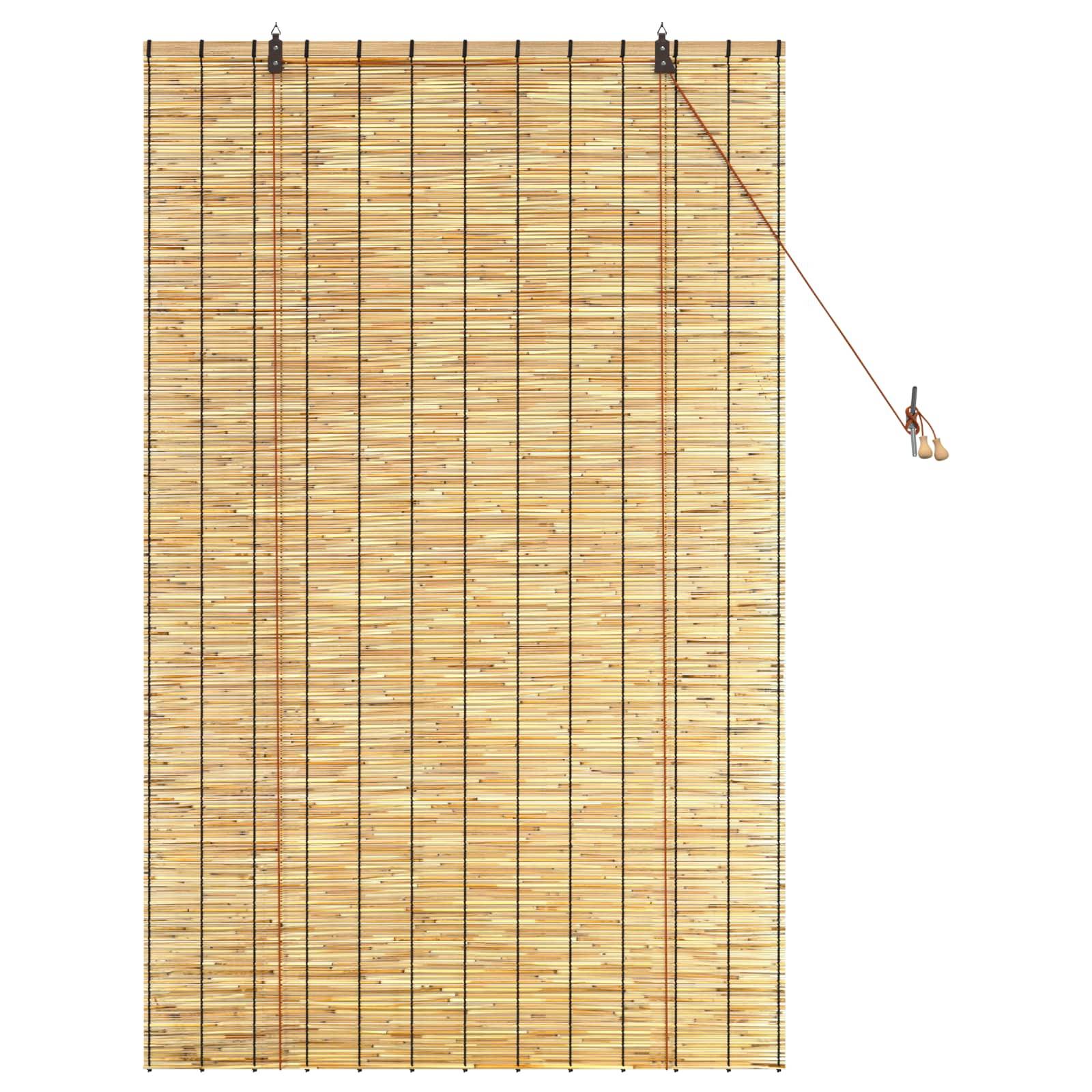 vidaXL Rollo Natur 100 x 160 cm Schilf