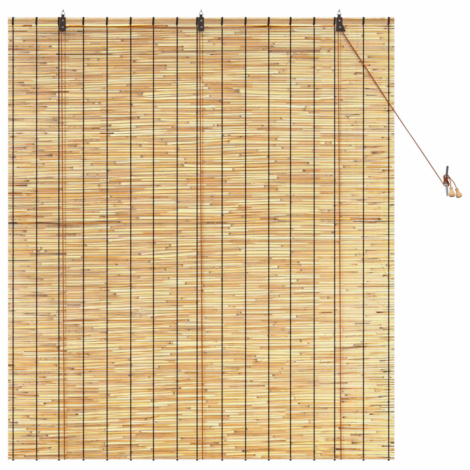vidaXL Rollo Natur 140 x 160 cm Schilf