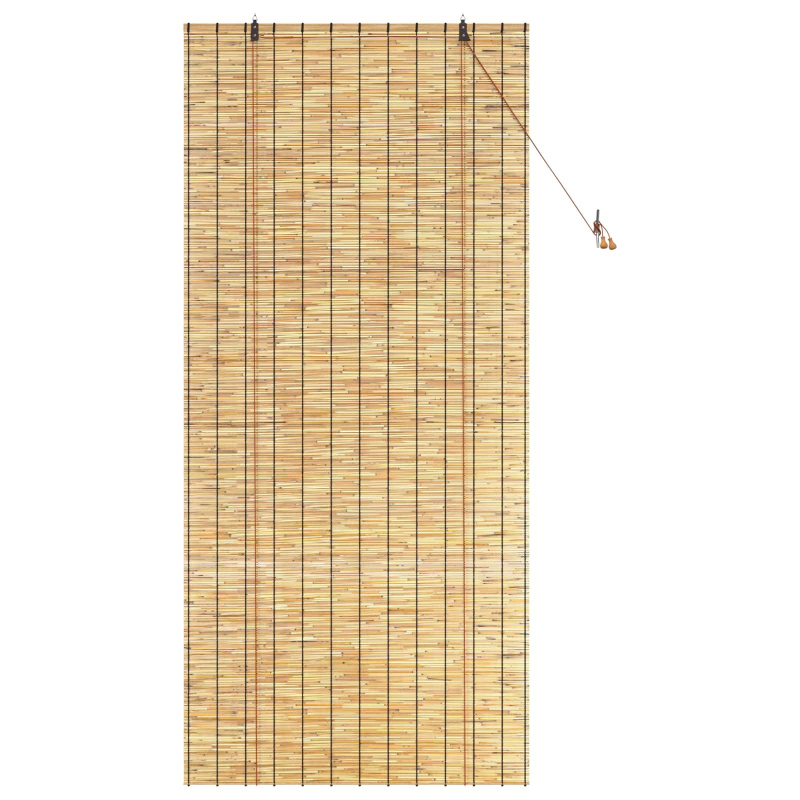 vidaXL Rollo Natur 100 x 220 cm Schilf