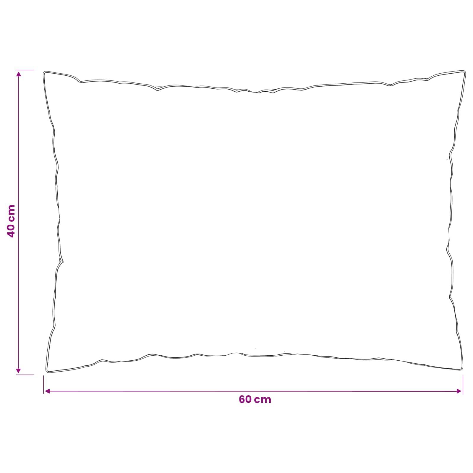 vidaXL Kopfkissen FULDA 40 x 60 cm 100% Gänsedaunen und -federn Weiß