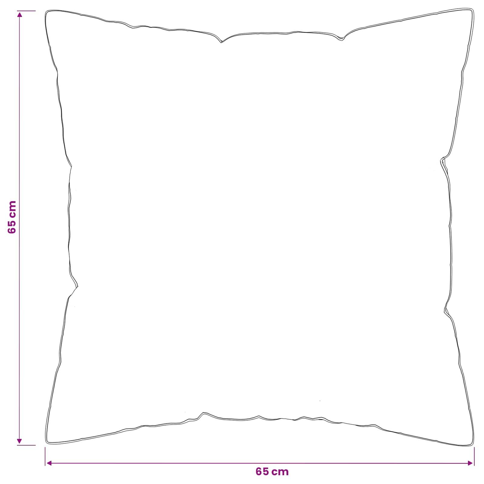 vidaXL Kopfkissen FULDA 2 pcs 65 x 65 cm 100% Gänsedaunen und -federn