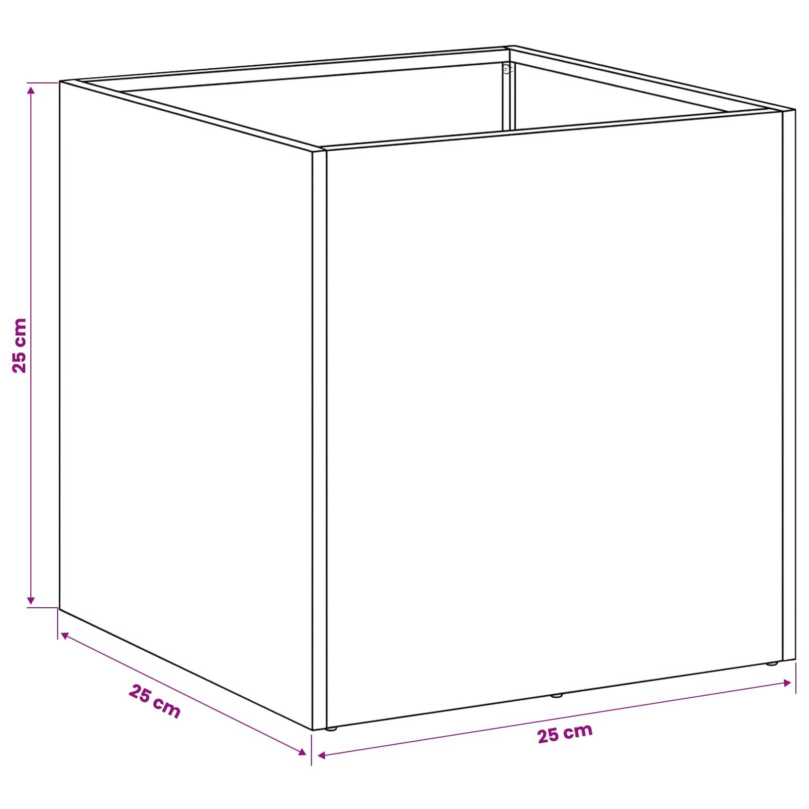 vidaXL Garten-Pflanzgefäß 2 Stk. Schwarz 25 x 25 x 25 cm