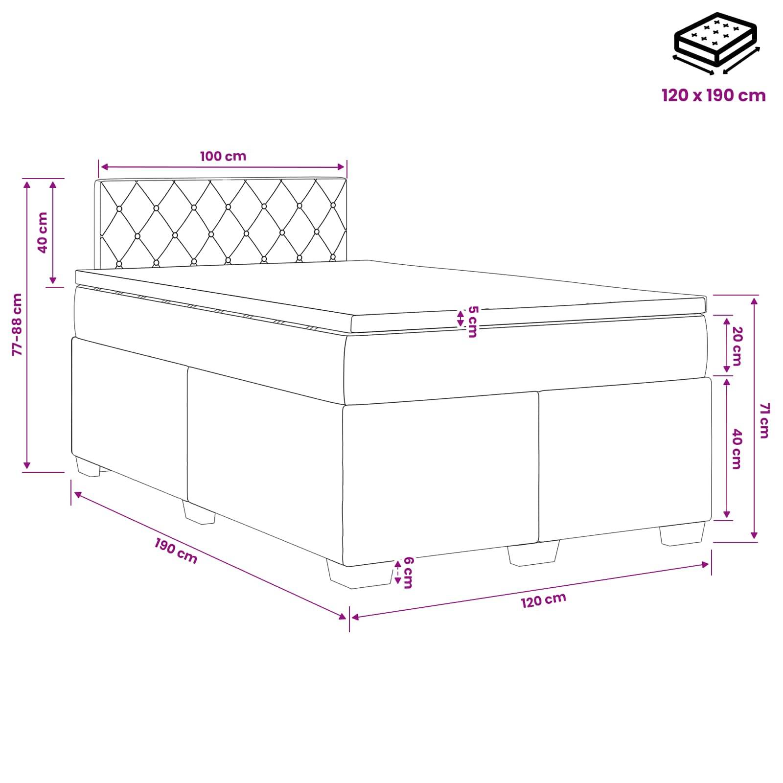 vidaXL Boxspringbett mit Matratze und LED Hellgrau 120 x 190 cm Samt