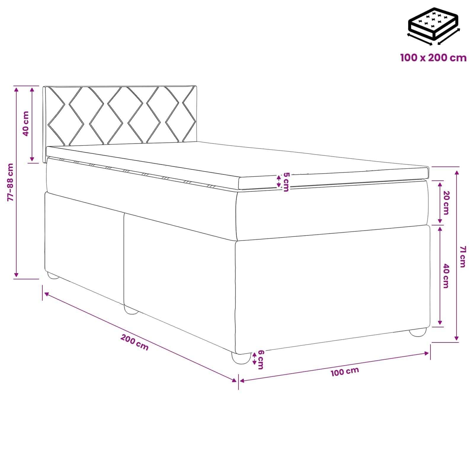 vidaXL Boxspringbett mit Matratze Schwarz 100 x 200 cm Samt