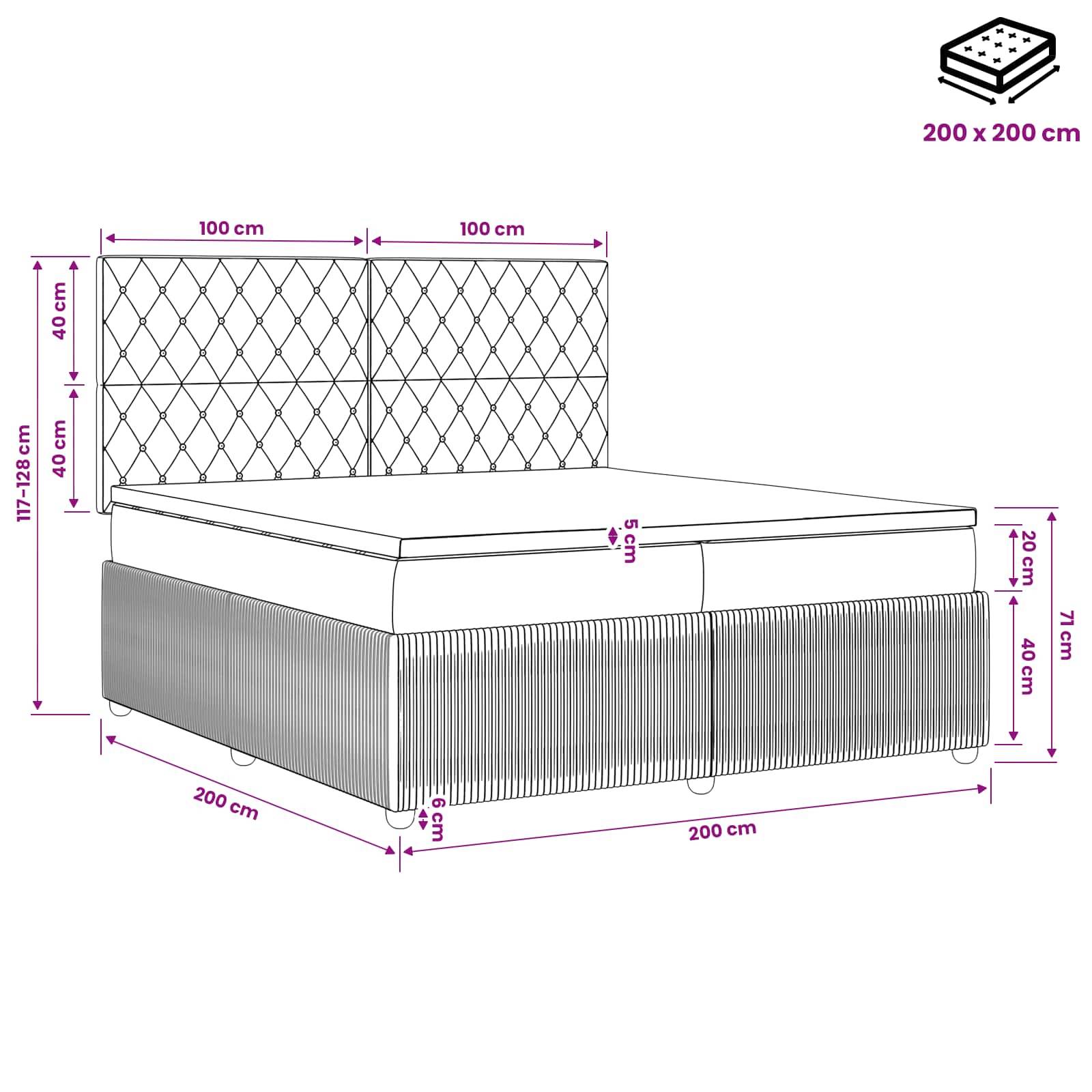 vidaXL Boxspringbett mit Matratze Hellgrau 200 x 200 cm Samt
