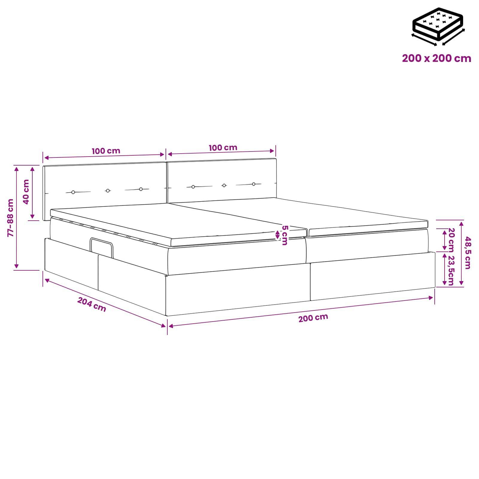 vidaXL Aufbewahrungsbett mit Kopfteil Hellgrau 200 x 200 cm Samt