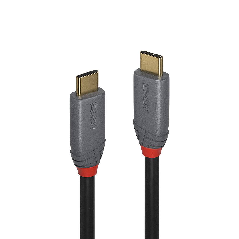 Zwei USB-C-Anschlüsse auf schwarzen Kabeln, nebeneinander vor weißem Hintergrund dargestellt.