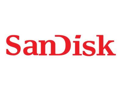 SanDisk-Logo in rotem Text auf weißem Hintergrund.