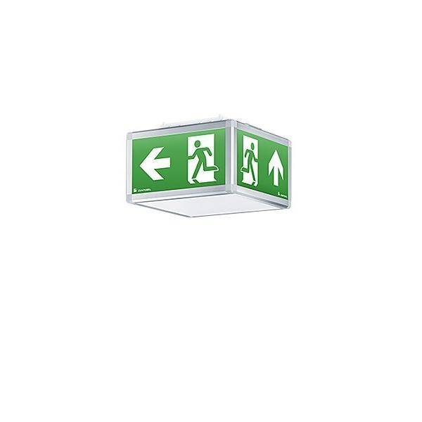 Deckenmontageschild in Grün für Notausgang mit nach links und oben zeigenden Pfeilen und Laufsymbolen, die Evakuierungsrichtung anzeigen.