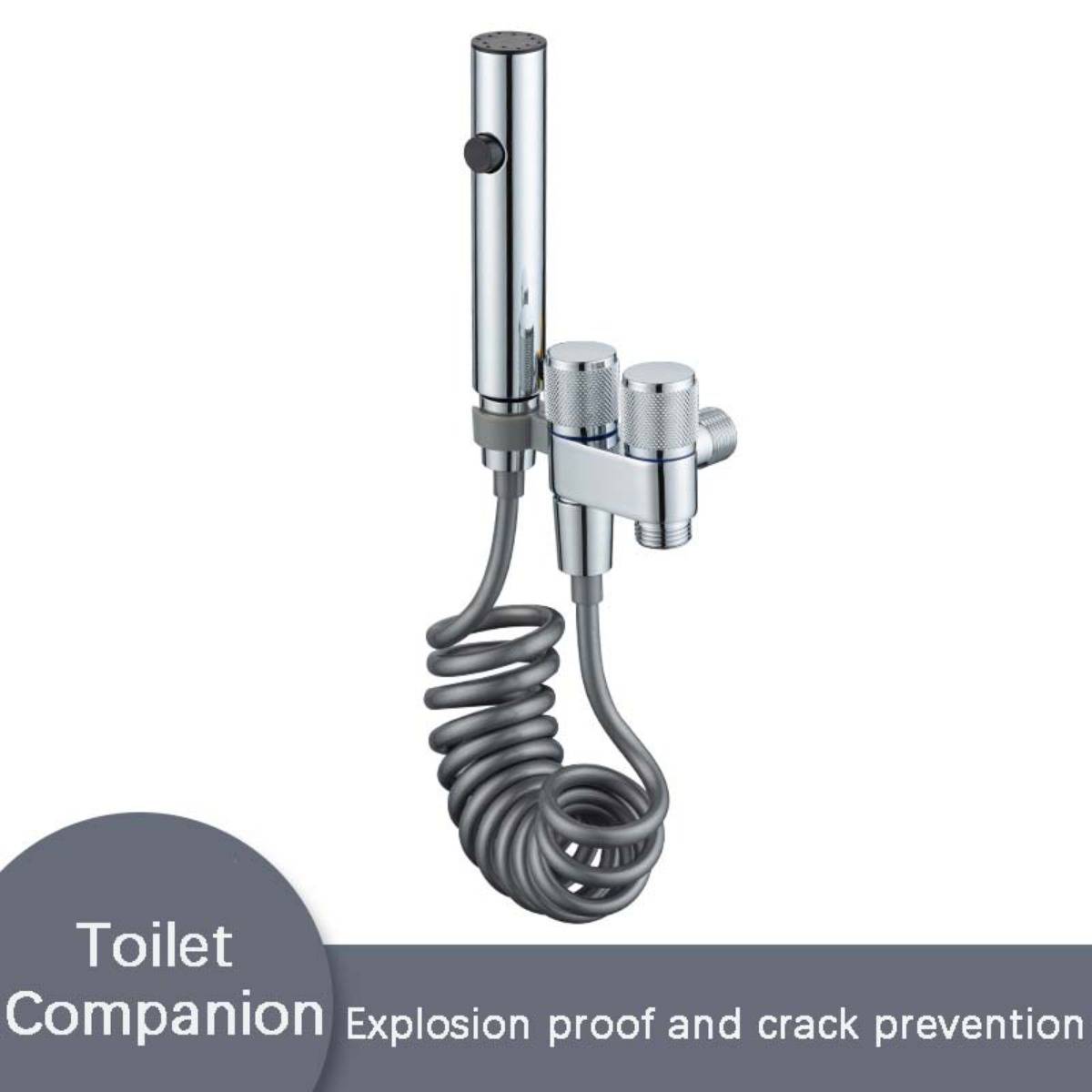 Produktbild einer Toilettenkompanion-Schlauchanbringung aus Chrom mit Spulenrohr und Regelknöpfen, beschriftet mit 
